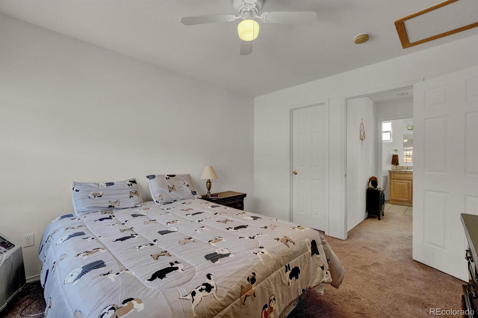 MLS Image #28 for 90  navajo avenue,lake george, Colorado