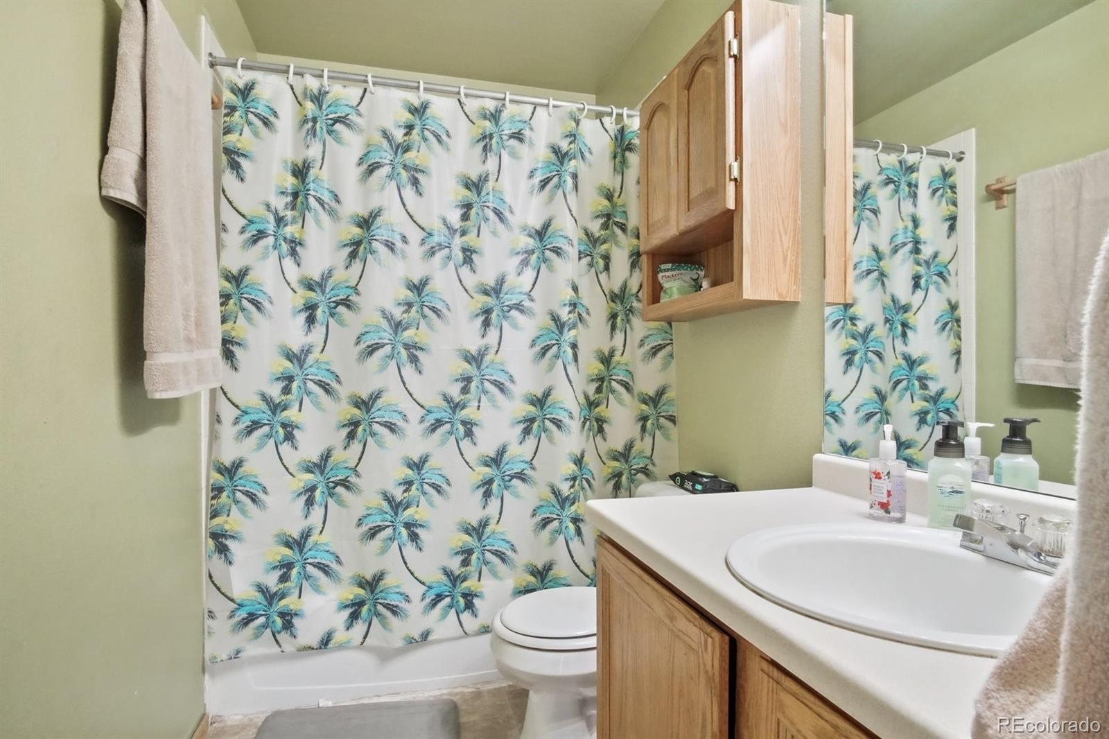 MLS Image #11 for 629  rye ridge road,fountain, Colorado