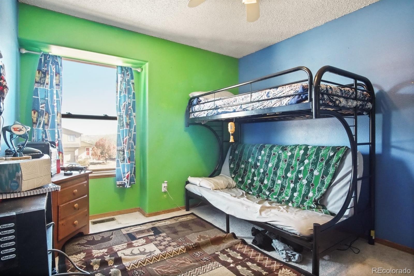 MLS Image #12 for 629  rye ridge road,fountain, Colorado