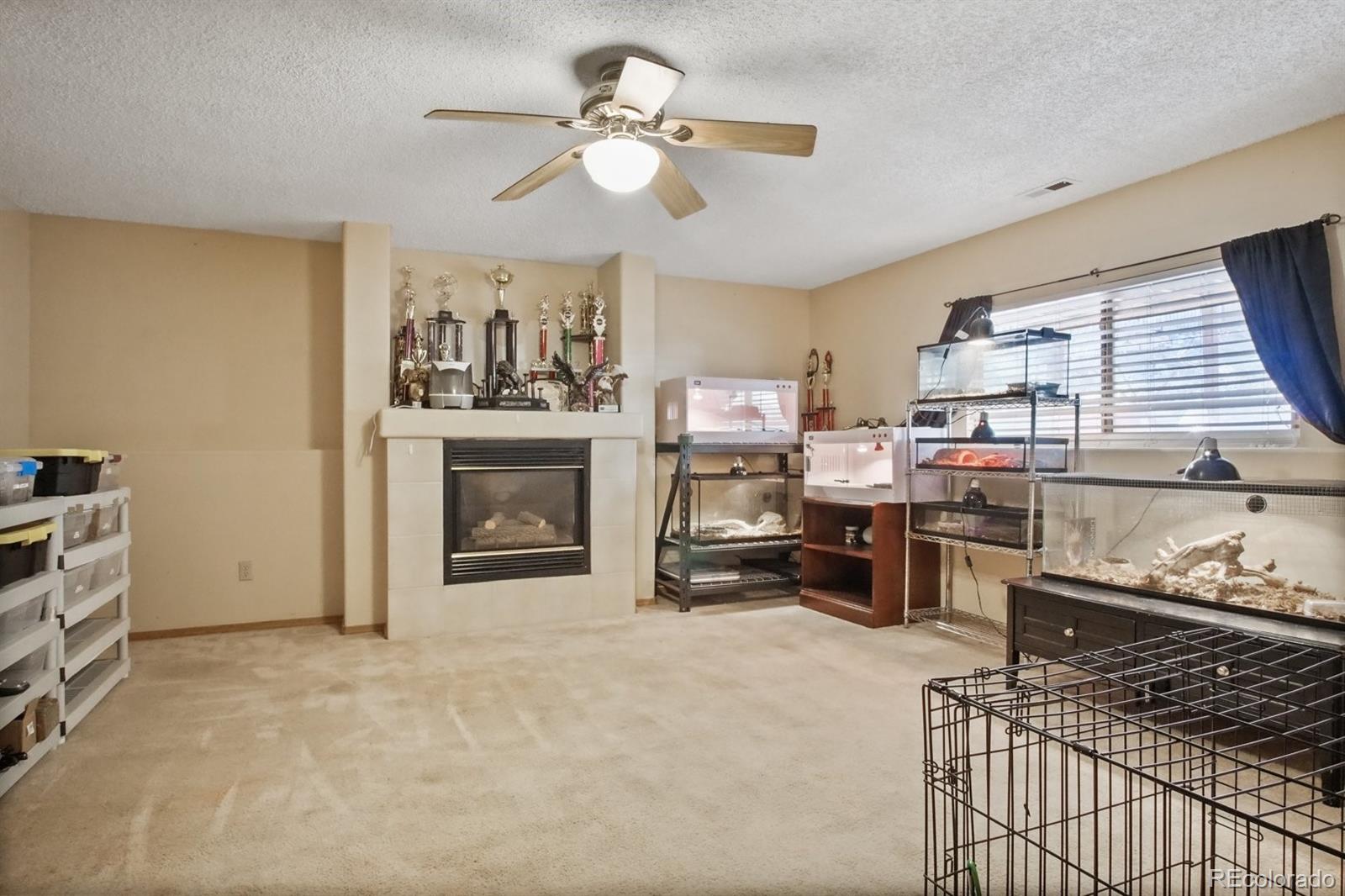 MLS Image #17 for 629  rye ridge road,fountain, Colorado