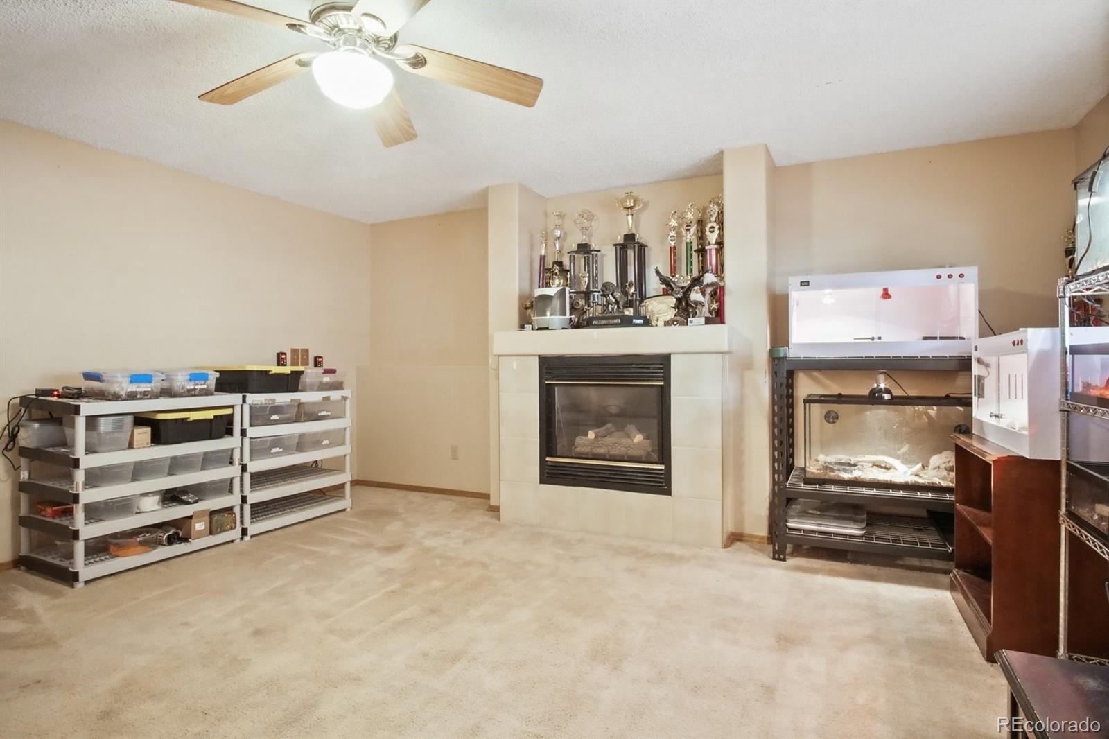 MLS Image #19 for 629  rye ridge road,fountain, Colorado