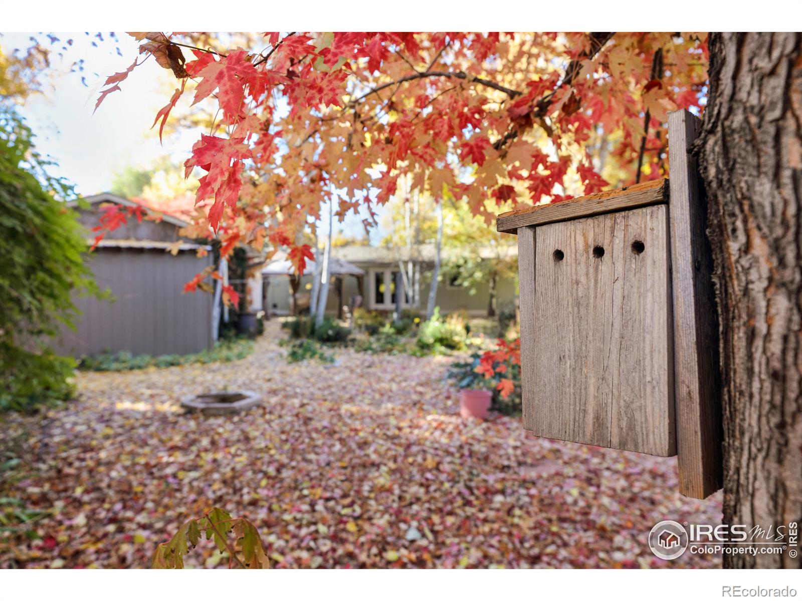 MLS Image #23 for 7915  neva road,niwot, Colorado