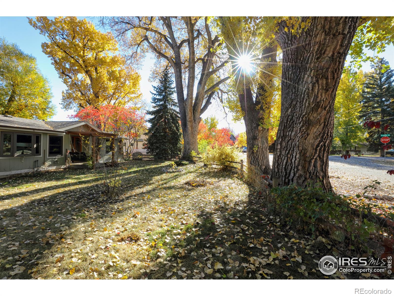 MLS Image #3 for 7915  neva road,niwot, Colorado