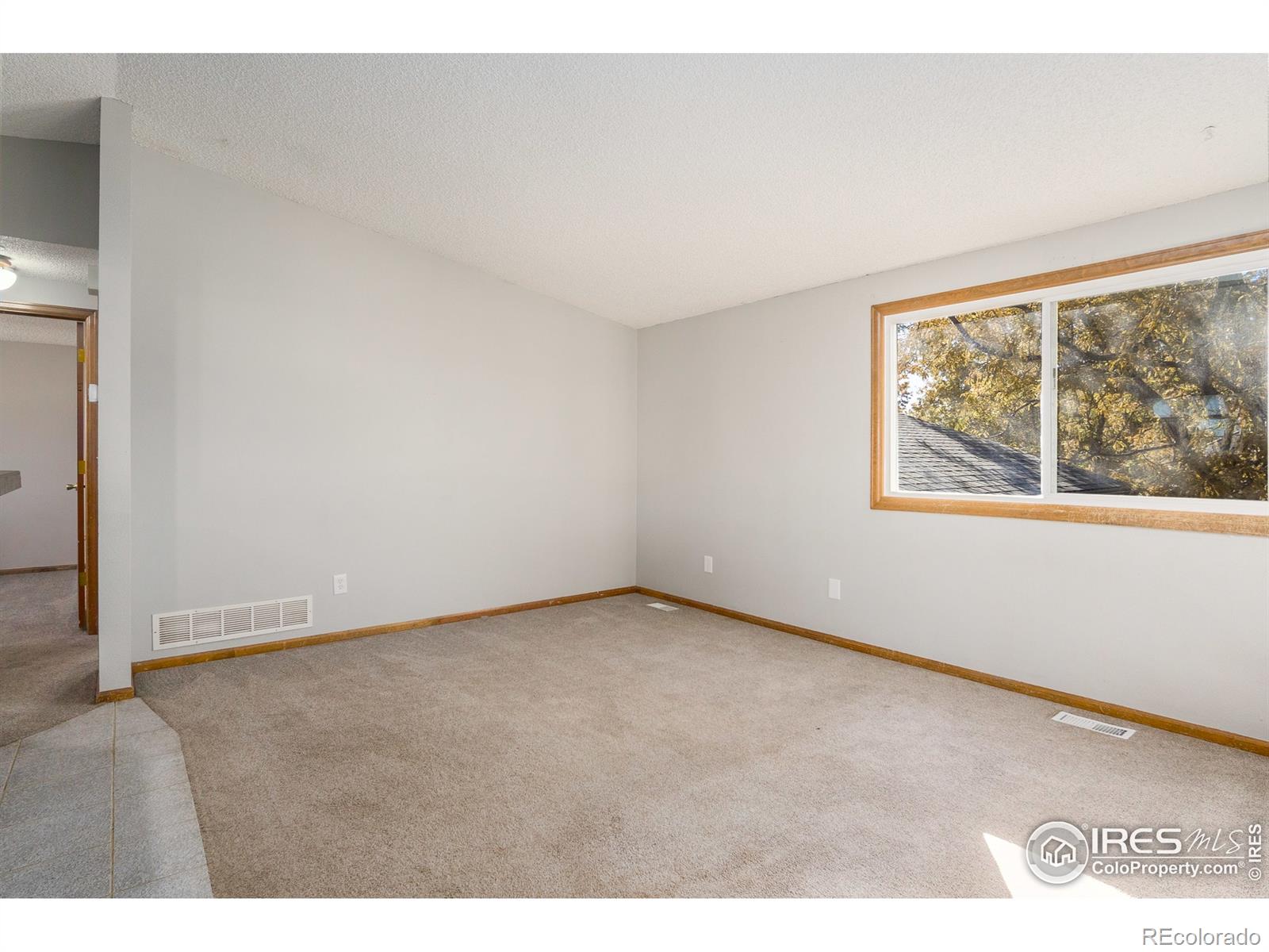 MLS Image #10 for 4259  peach tree court,loveland, Colorado