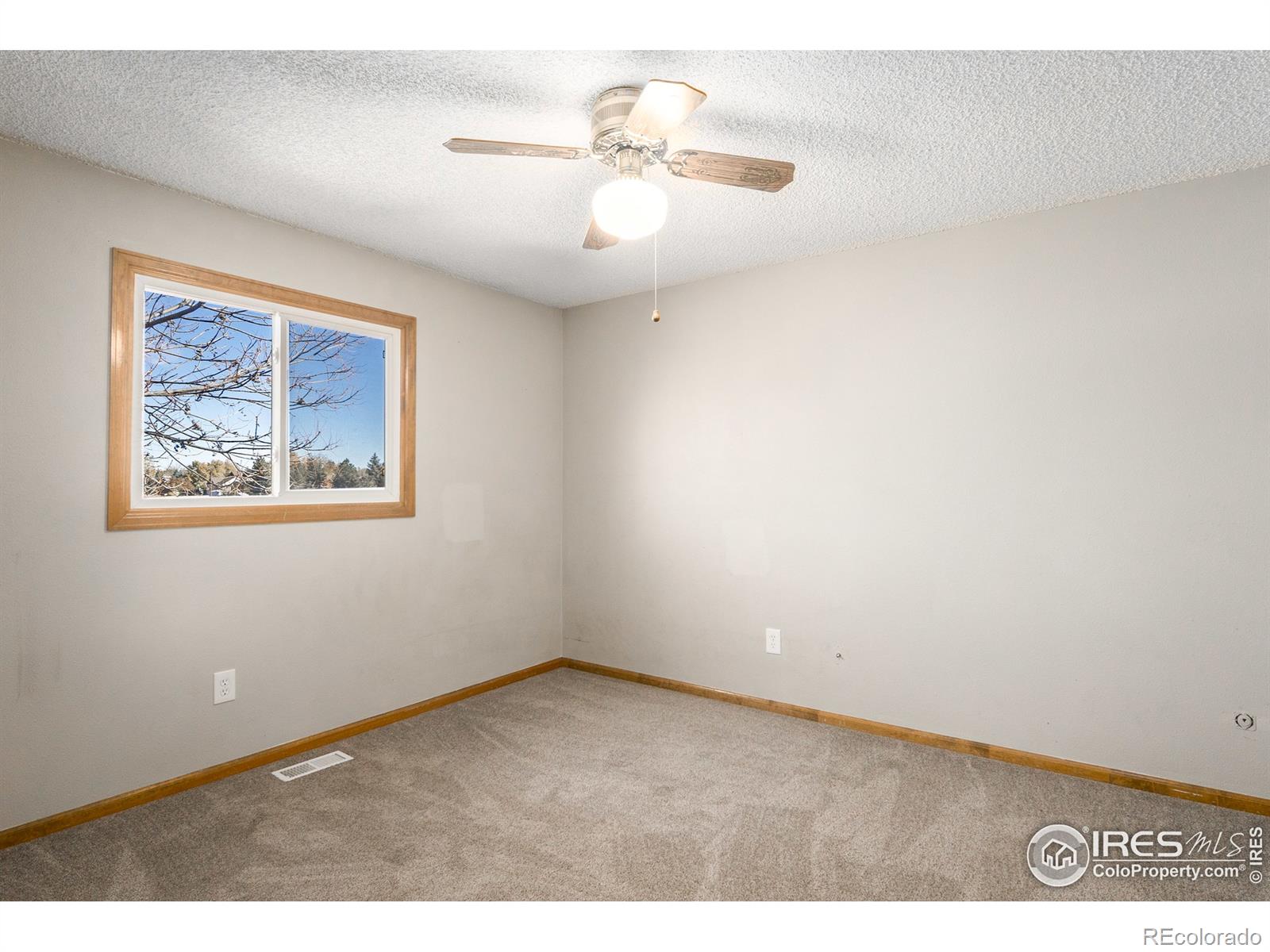 MLS Image #23 for 4259  peach tree court,loveland, Colorado