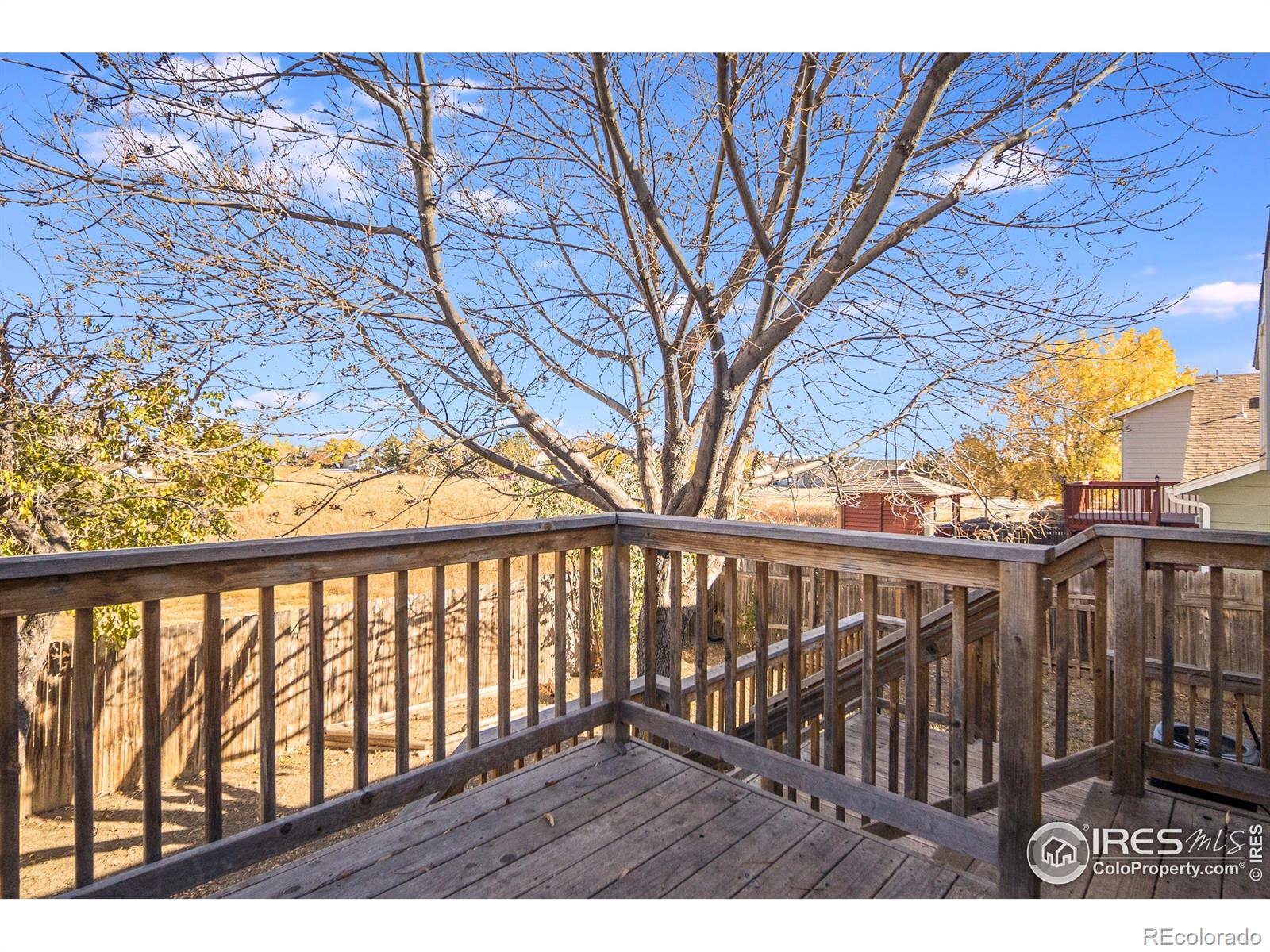 MLS Image #25 for 4259  peach tree court,loveland, Colorado