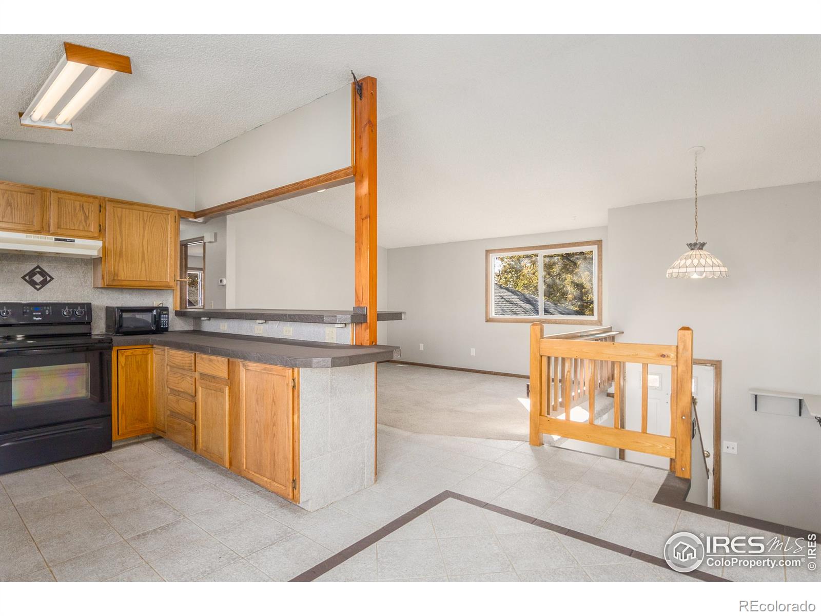 MLS Image #5 for 4259  peach tree court,loveland, Colorado