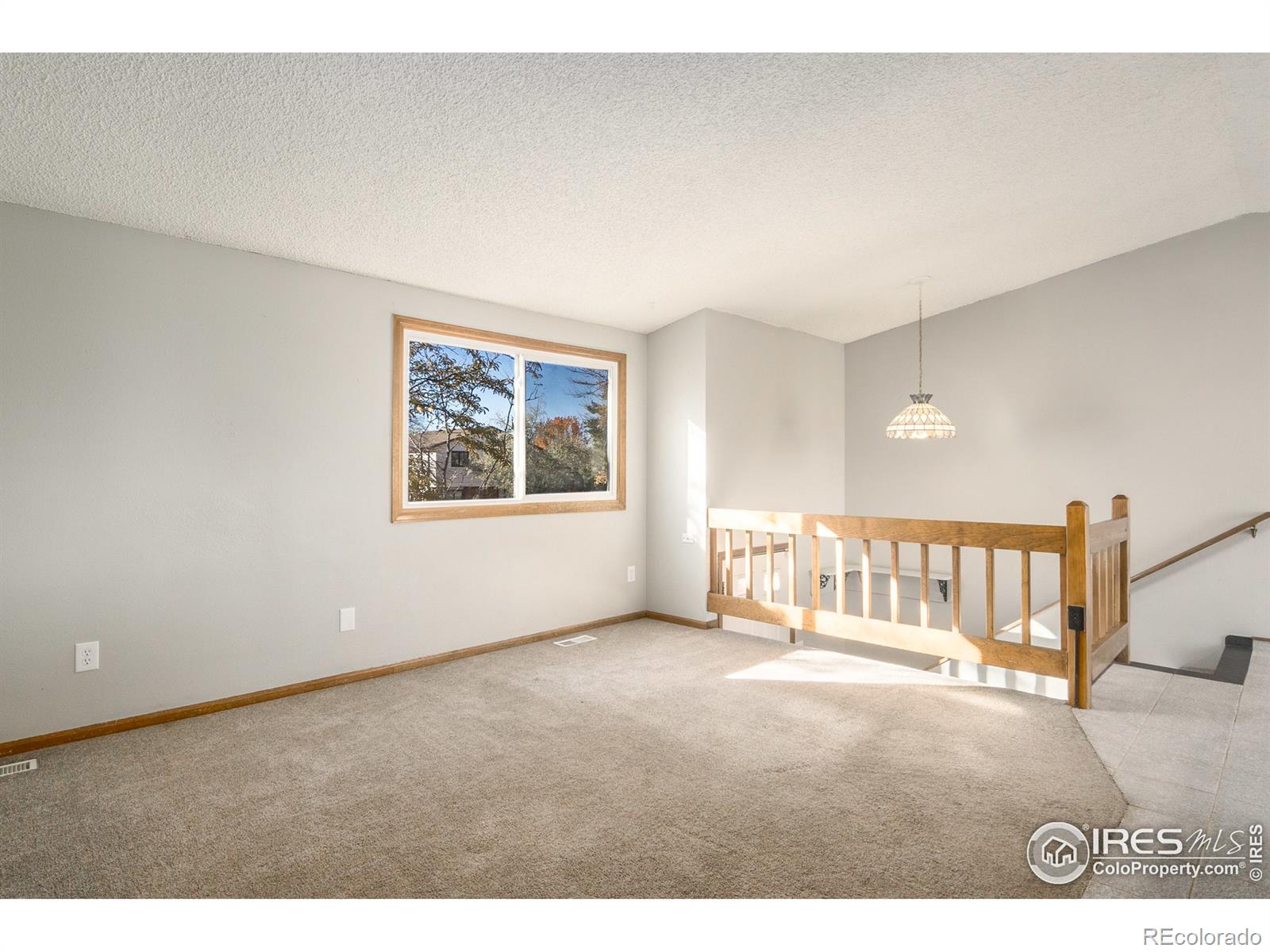 MLS Image #8 for 4259  peach tree court,loveland, Colorado