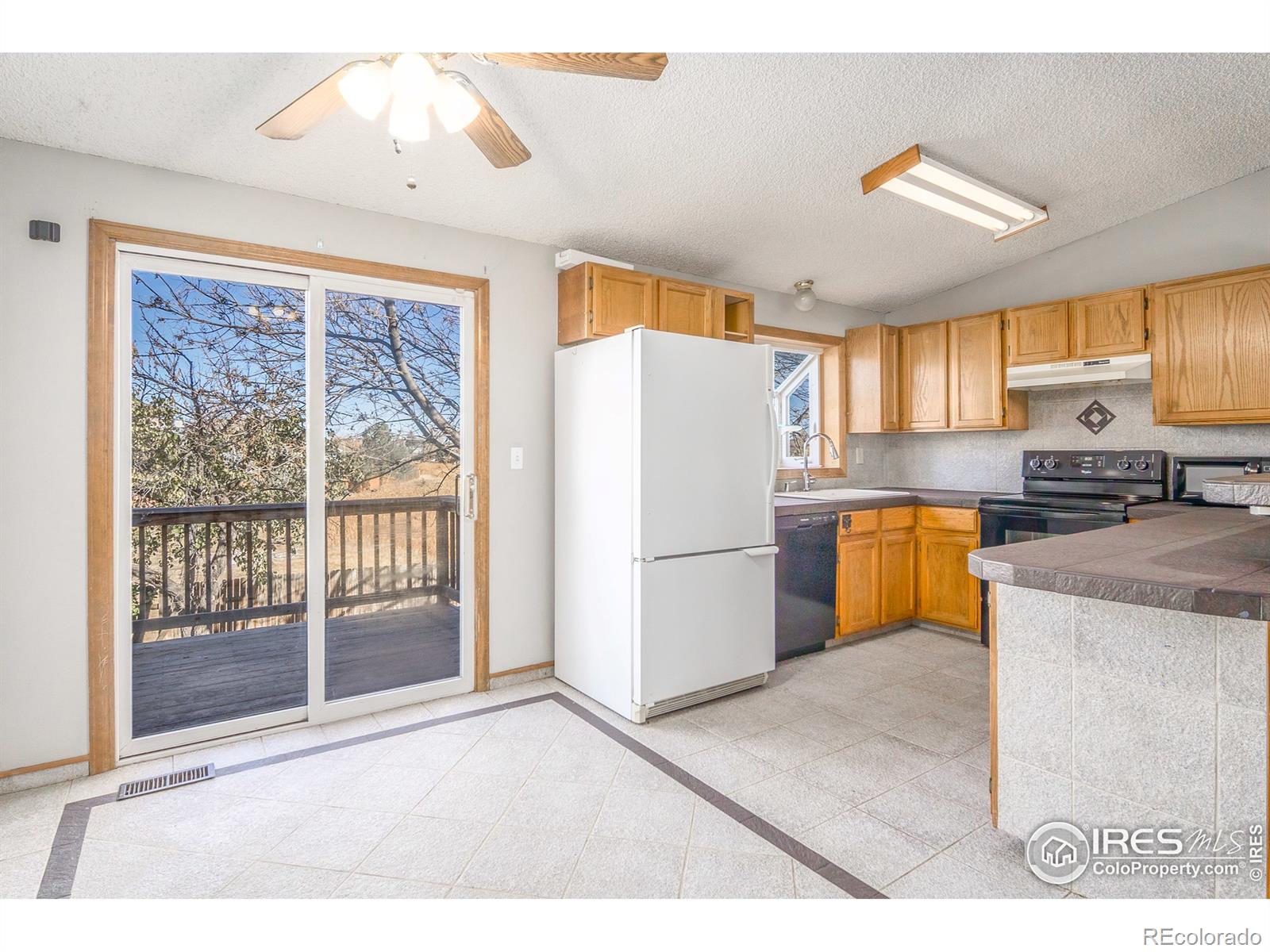 MLS Image #9 for 4259  peach tree court,loveland, Colorado