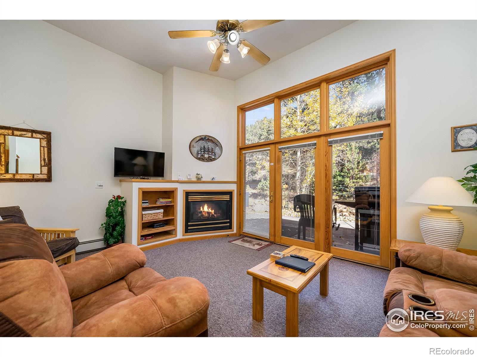 MLS Image #11 for 2120  fall river road,estes park, Colorado