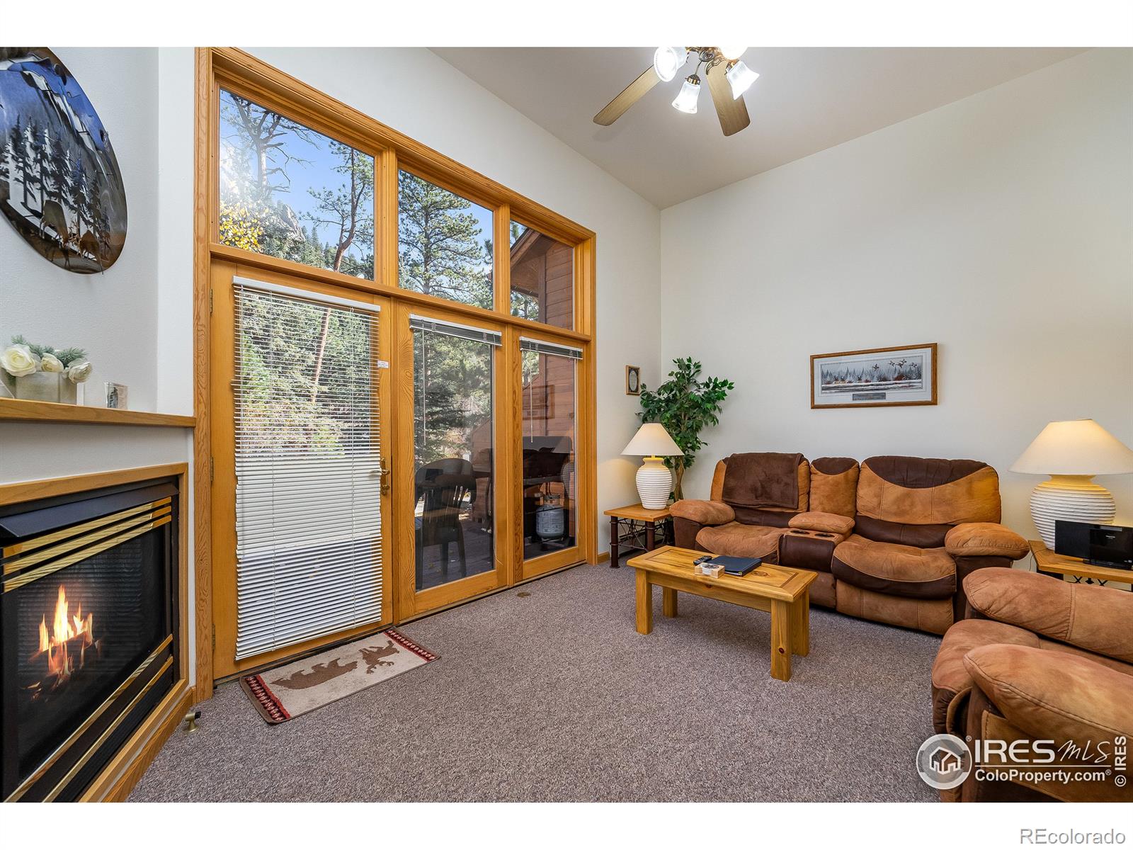 MLS Image #2 for 2120  fall river road,estes park, Colorado