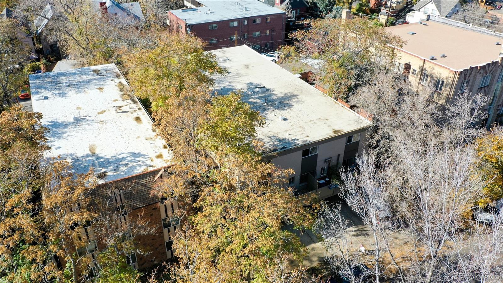 MLS Image #30 for 1149  columbine street,denver, Colorado