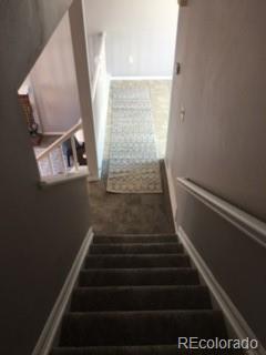 MLS Image #17 for 9125  bell flower way,highlands ranch, Colorado
