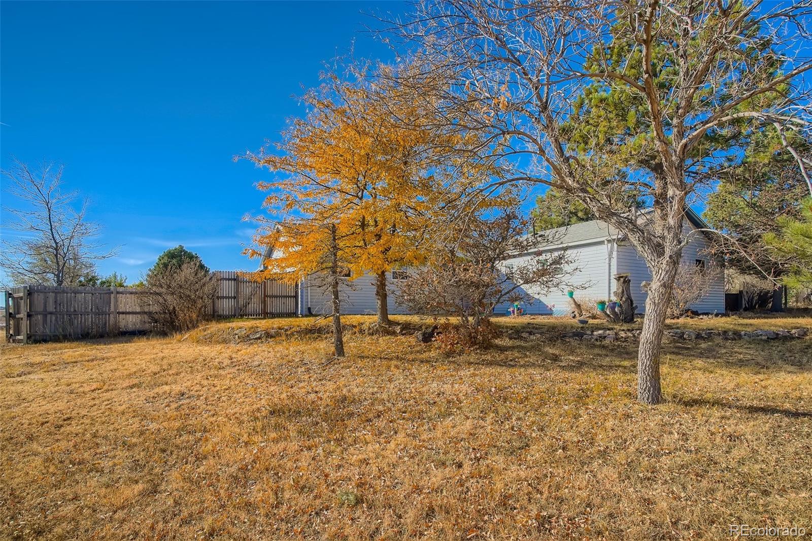MLS Image #25 for 976  cheyenne place,parker, Colorado