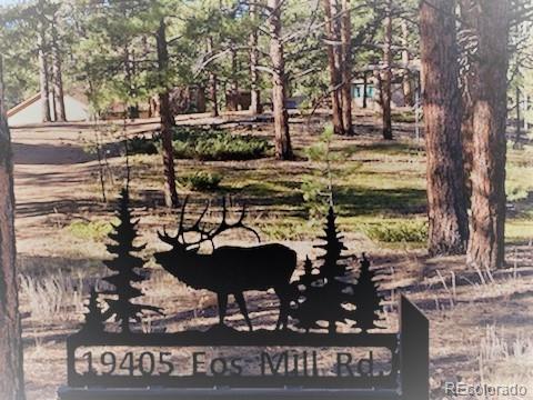 MLS Image #0 for 19405  eos mill road,pine, Colorado