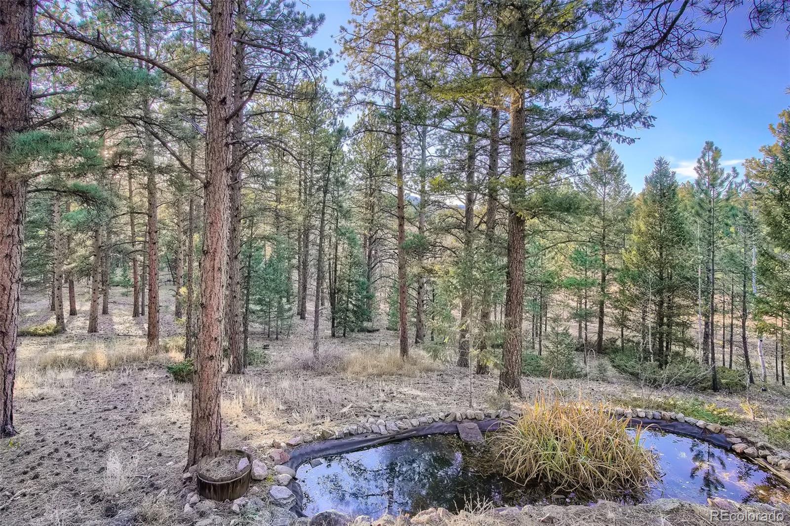 MLS Image #29 for 19405  eos mill road,pine, Colorado