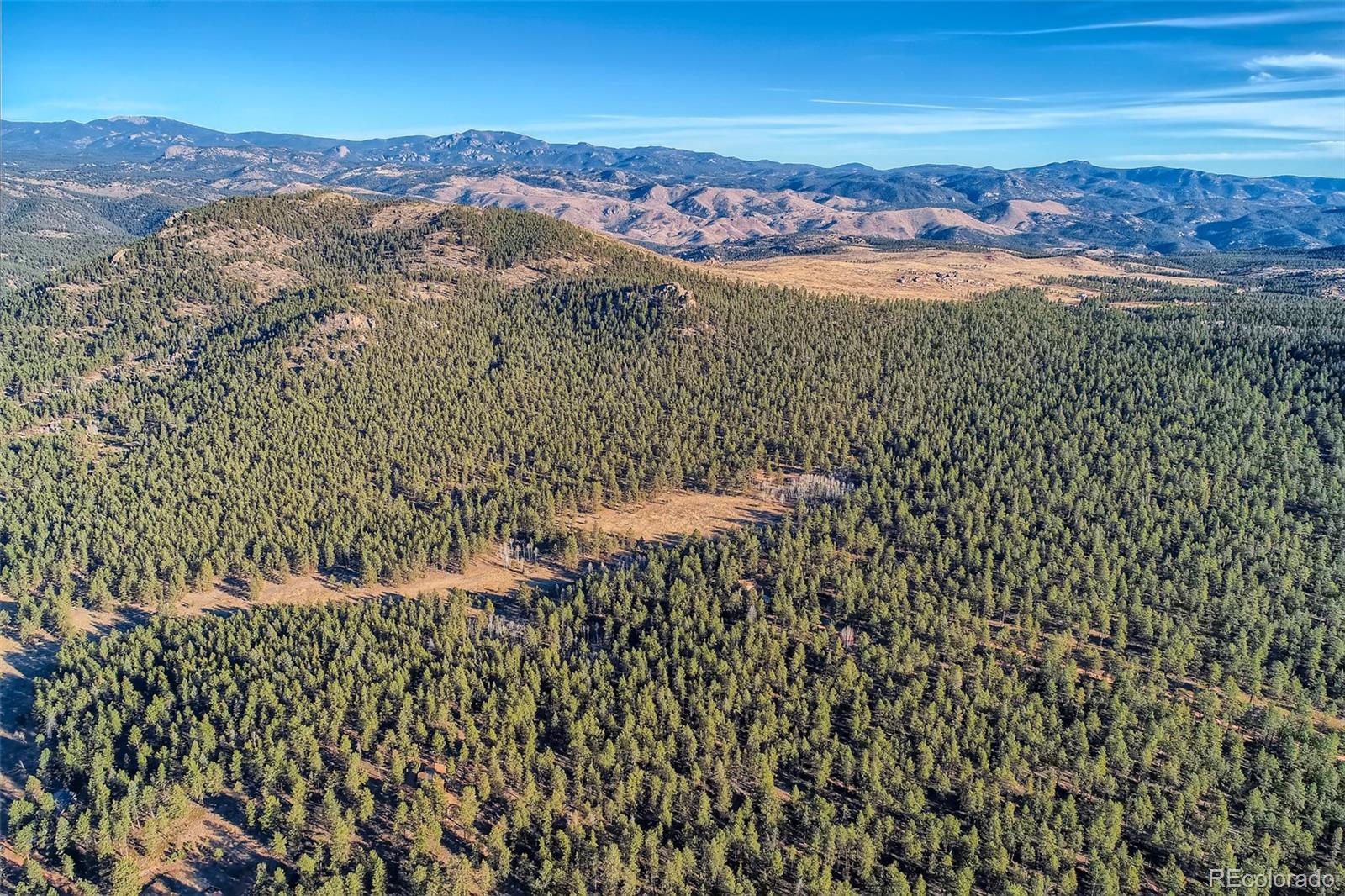 MLS Image #36 for 19405  eos mill road,pine, Colorado