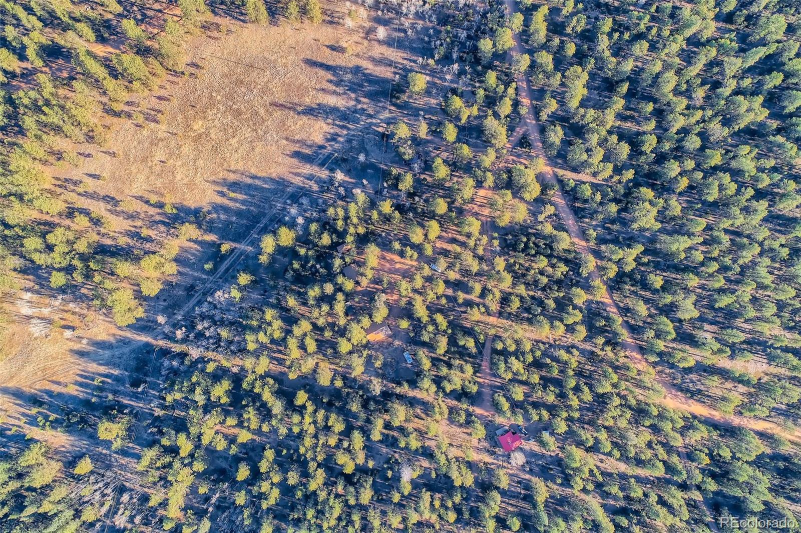 MLS Image #38 for 19405  eos mill road,pine, Colorado