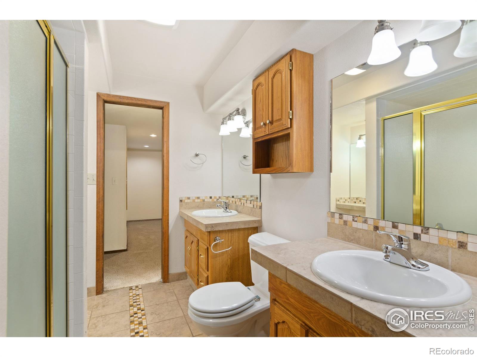 MLS Image #16 for 384  granville circle,firestone, Colorado