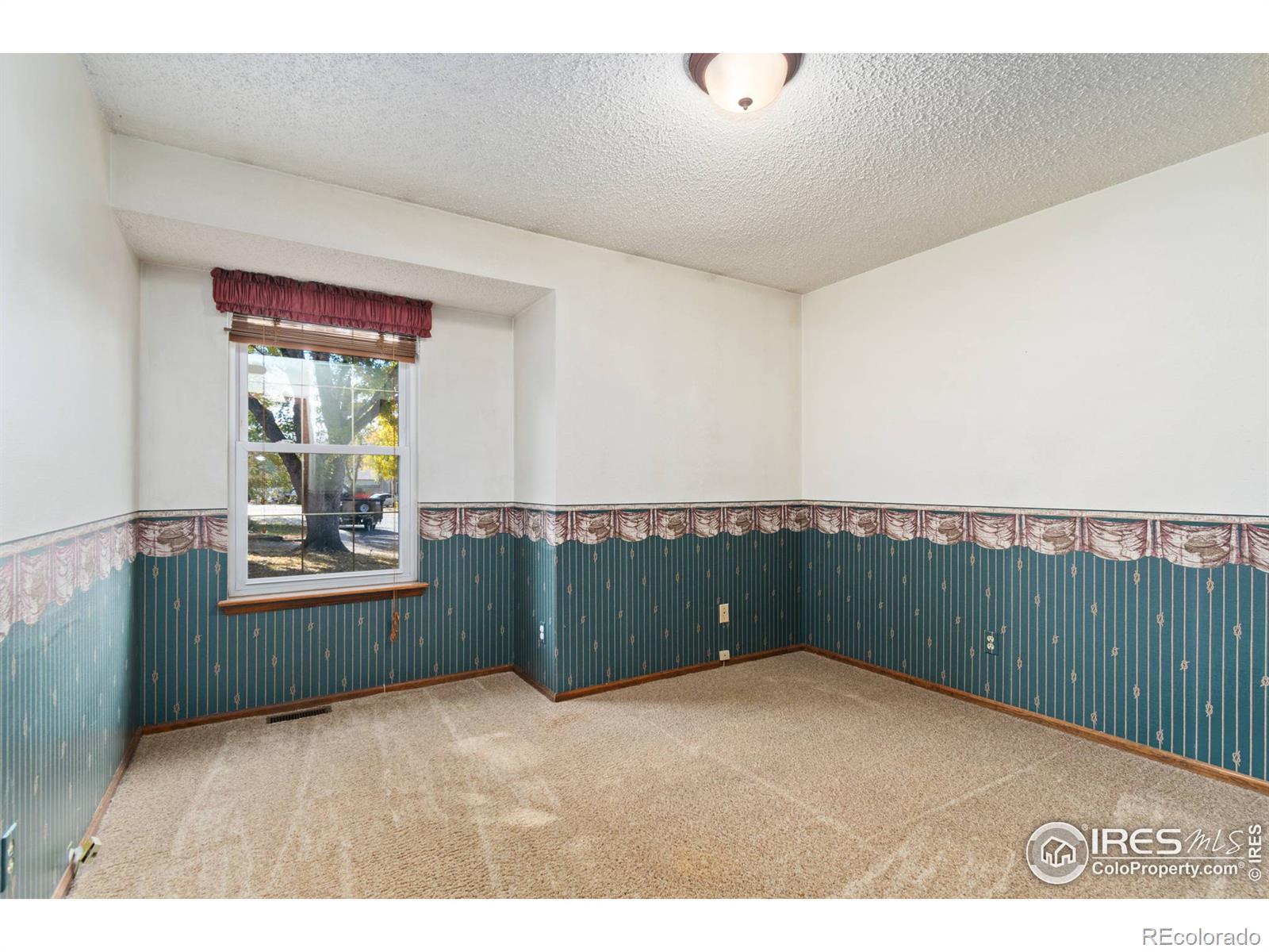 MLS Image #8 for 384  granville circle,firestone, Colorado
