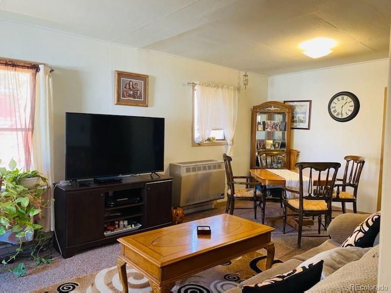 MLS Image #3 for 1024  2nd street,alamosa, Colorado