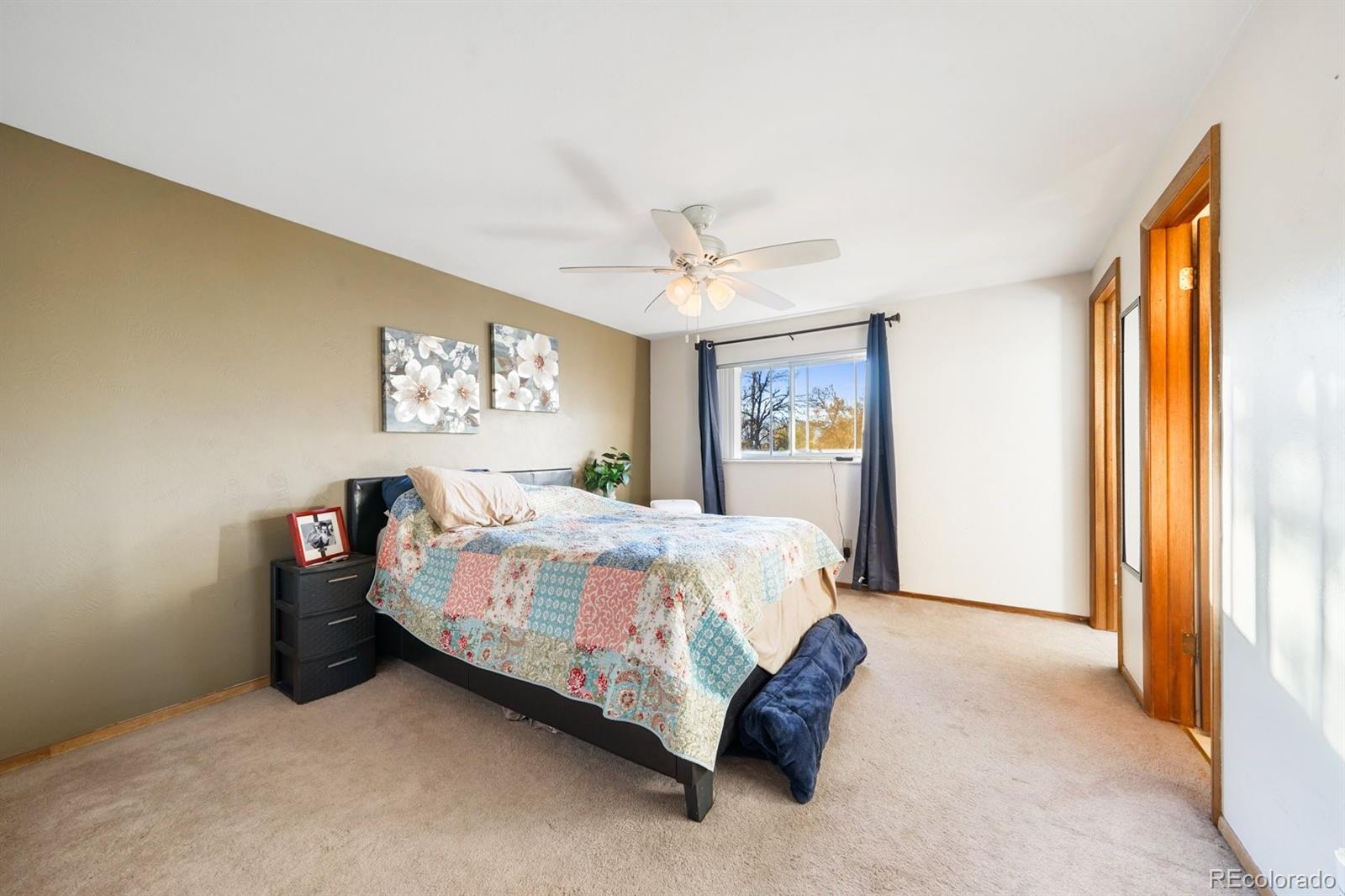 MLS Image #10 for 4292 n hammock drive,colorado springs, Colorado