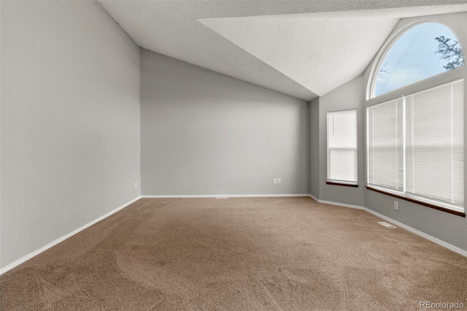 MLS Image #2 for 7845  conifer drive,colorado springs, Colorado