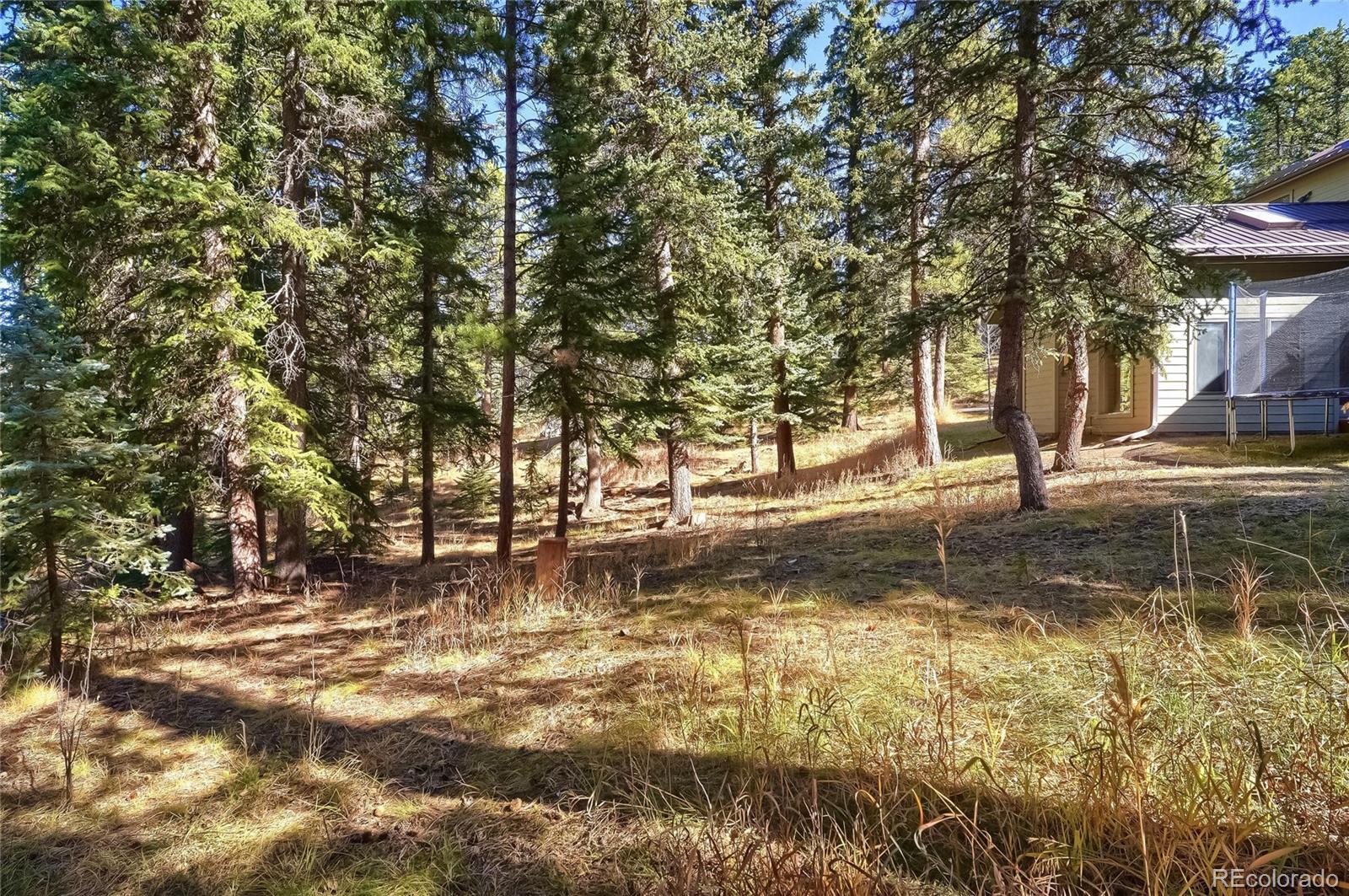 MLS Image #27 for 8799  william cody drive,evergreen, Colorado