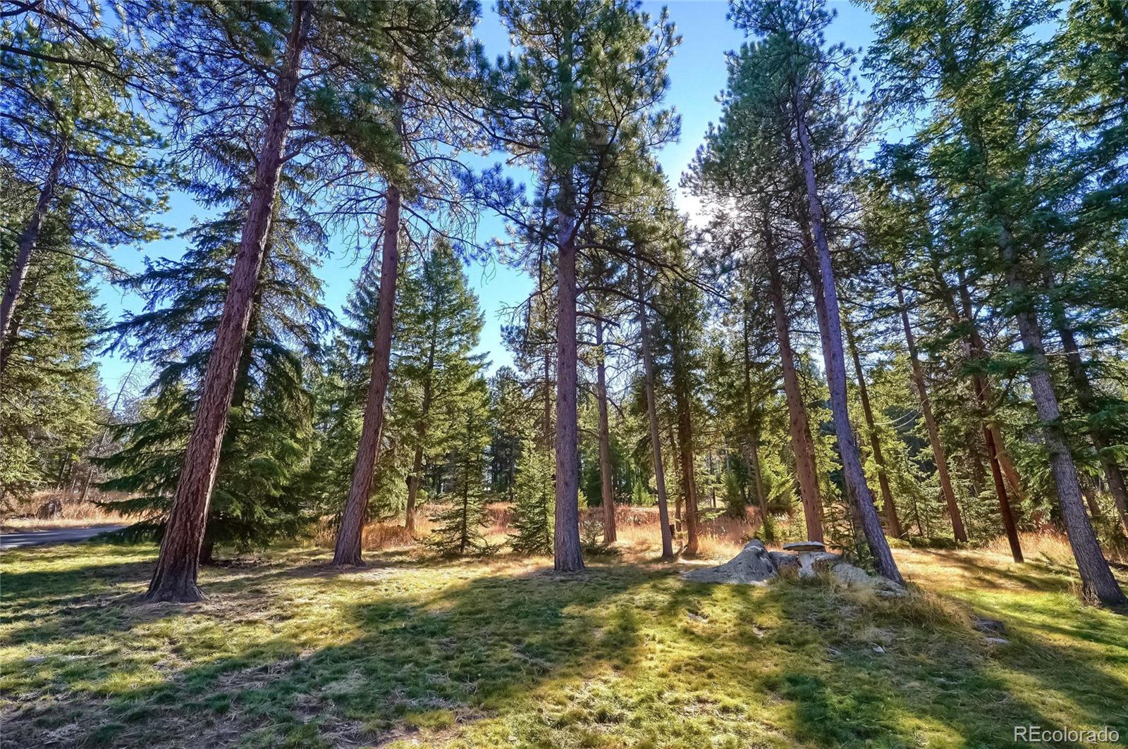 MLS Image #29 for 8799  william cody drive,evergreen, Colorado