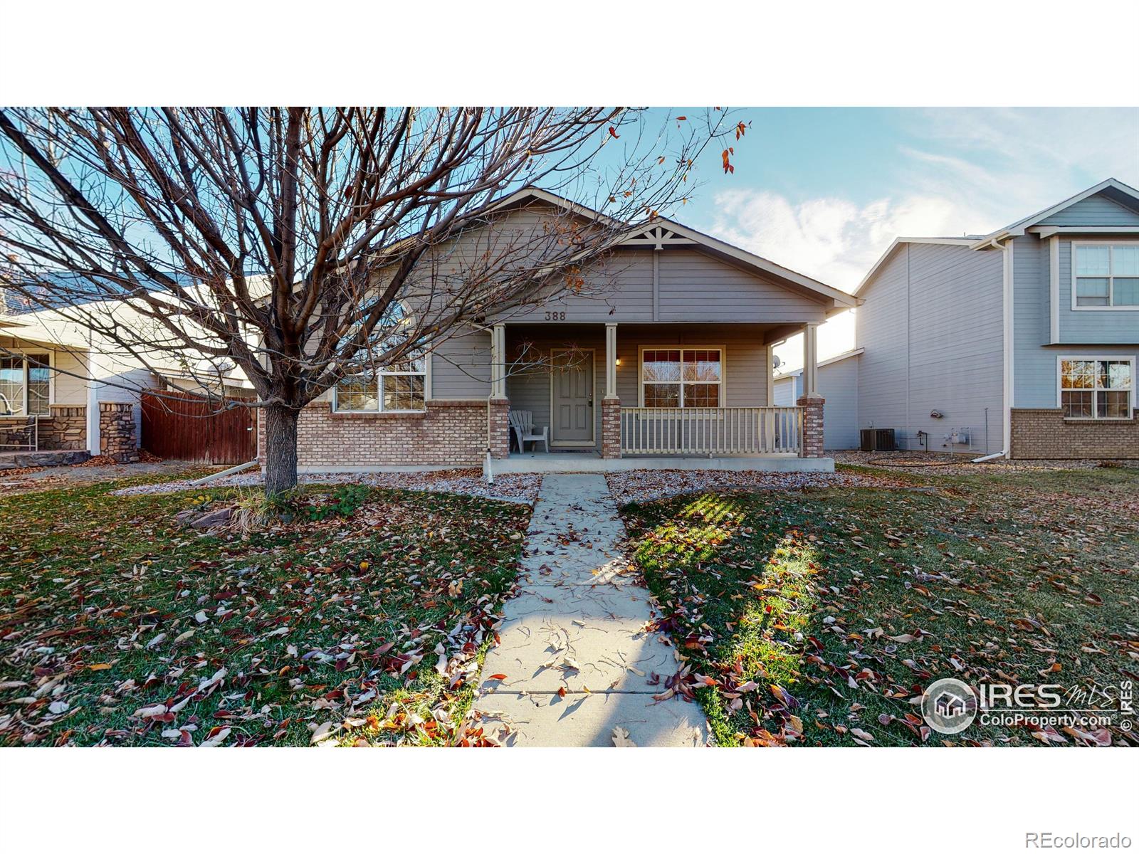 MLS Image #0 for 388  cardinal avenue,loveland, Colorado