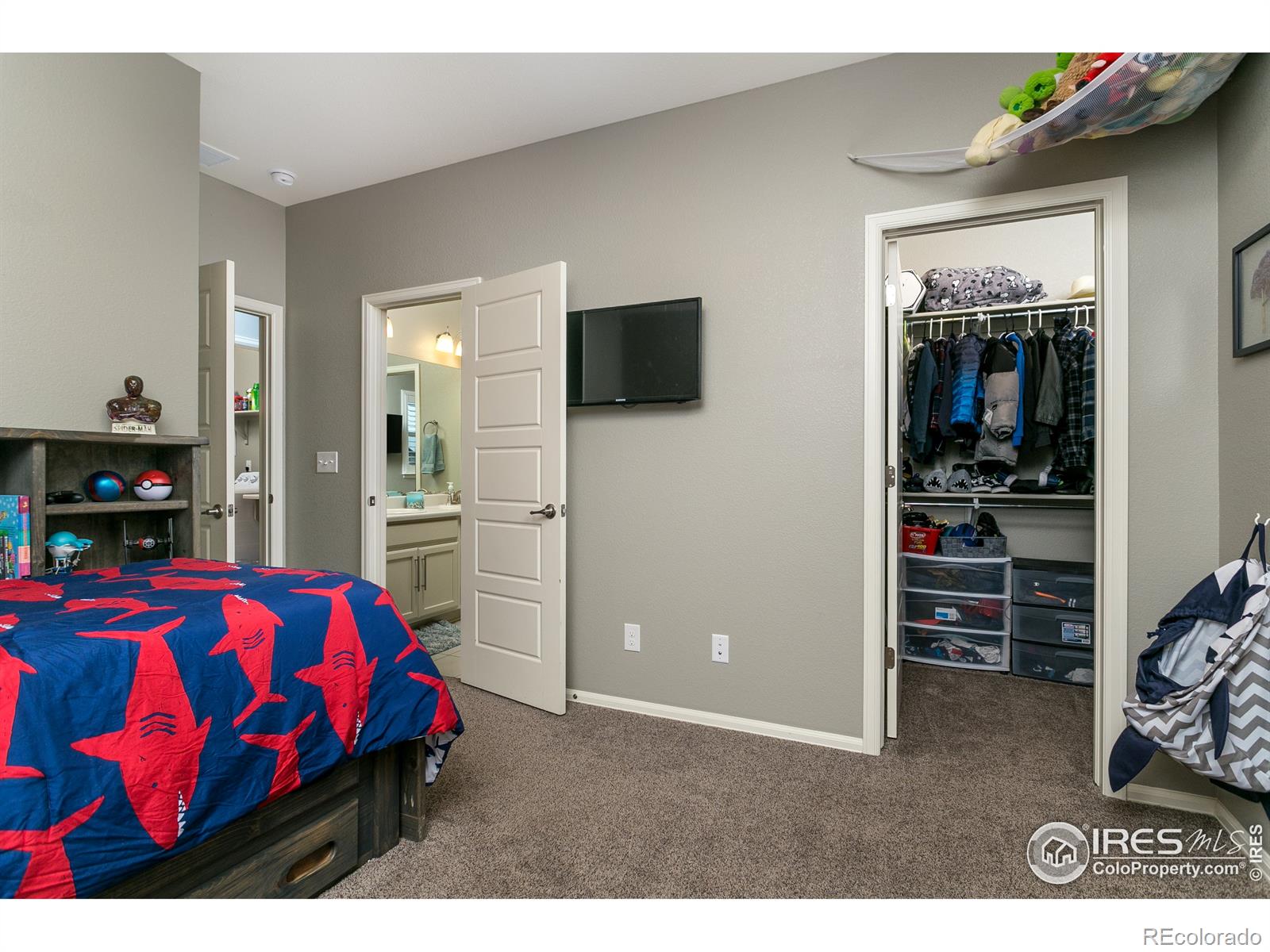MLS Image #25 for 6150  washakie court,timnath, Colorado