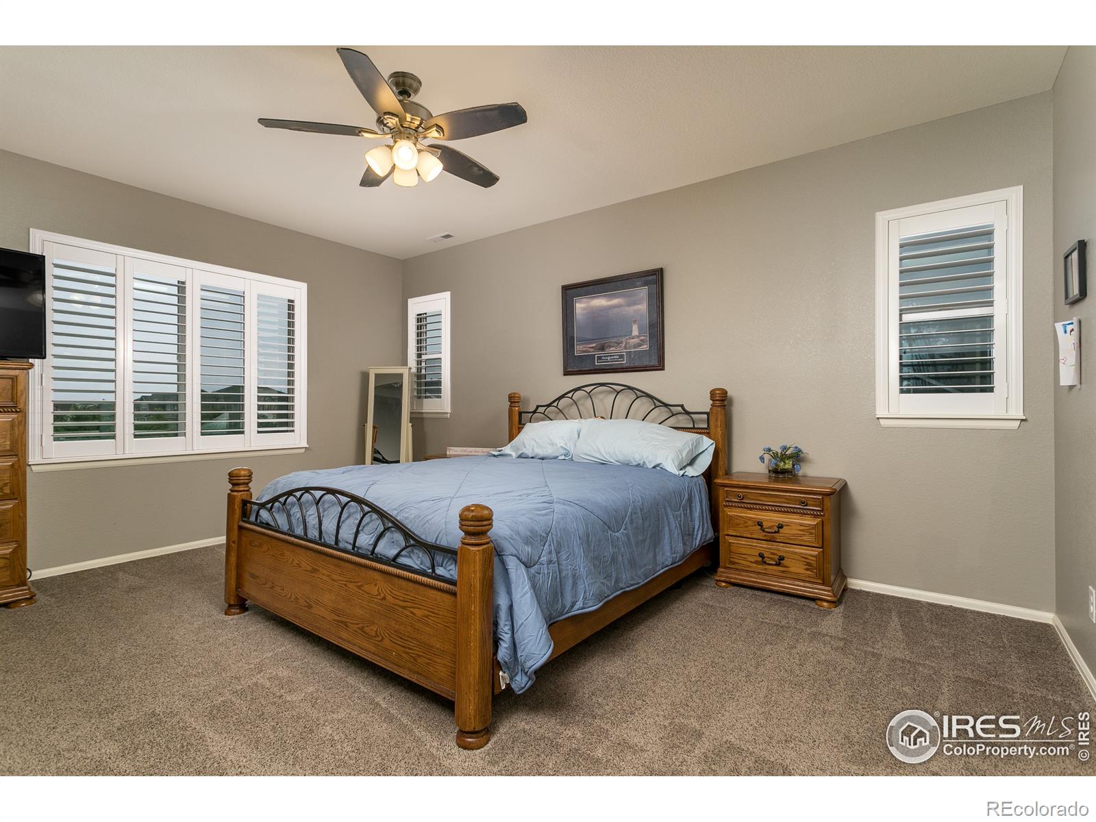 MLS Image #29 for 6150  washakie court,timnath, Colorado