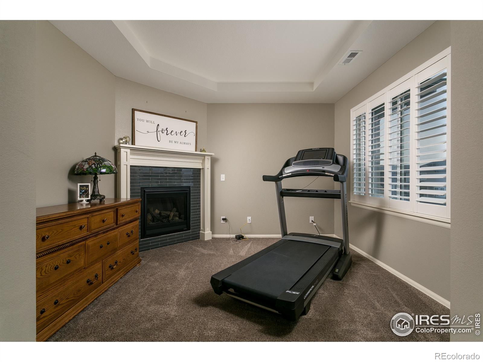 MLS Image #31 for 6150  washakie court,timnath, Colorado