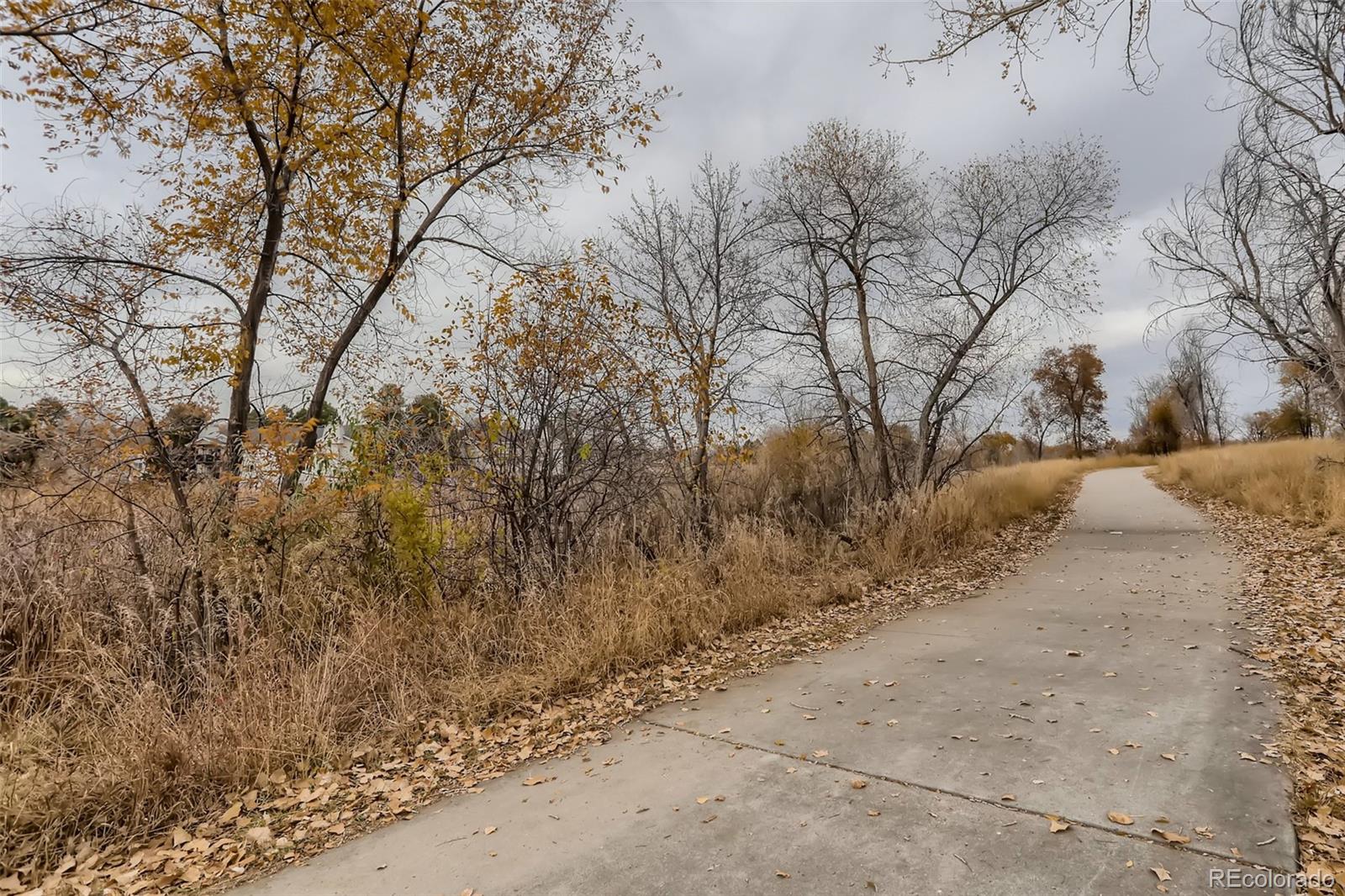 MLS Image #25 for 17673 e loyola drive,aurora, Colorado