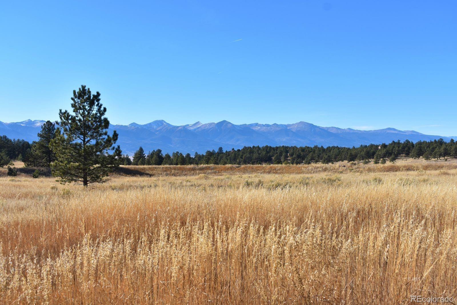 MLS Image #1 for 1001  black fawn lane,westcliffe, Colorado