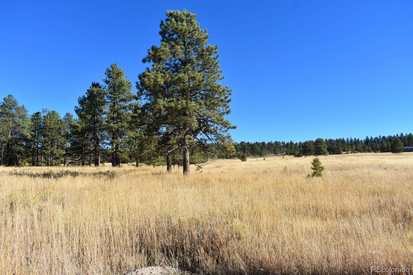 MLS Image #18 for 1001  black fawn lane,westcliffe, Colorado