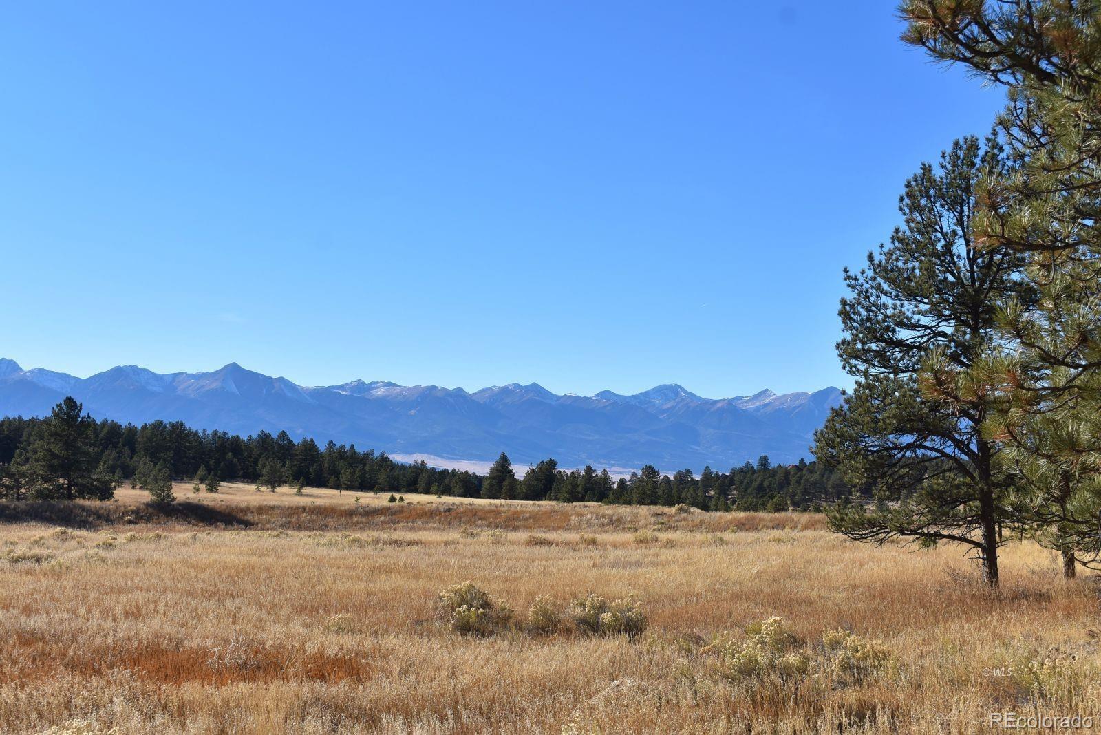 MLS Image #19 for 1001  black fawn lane,westcliffe, Colorado