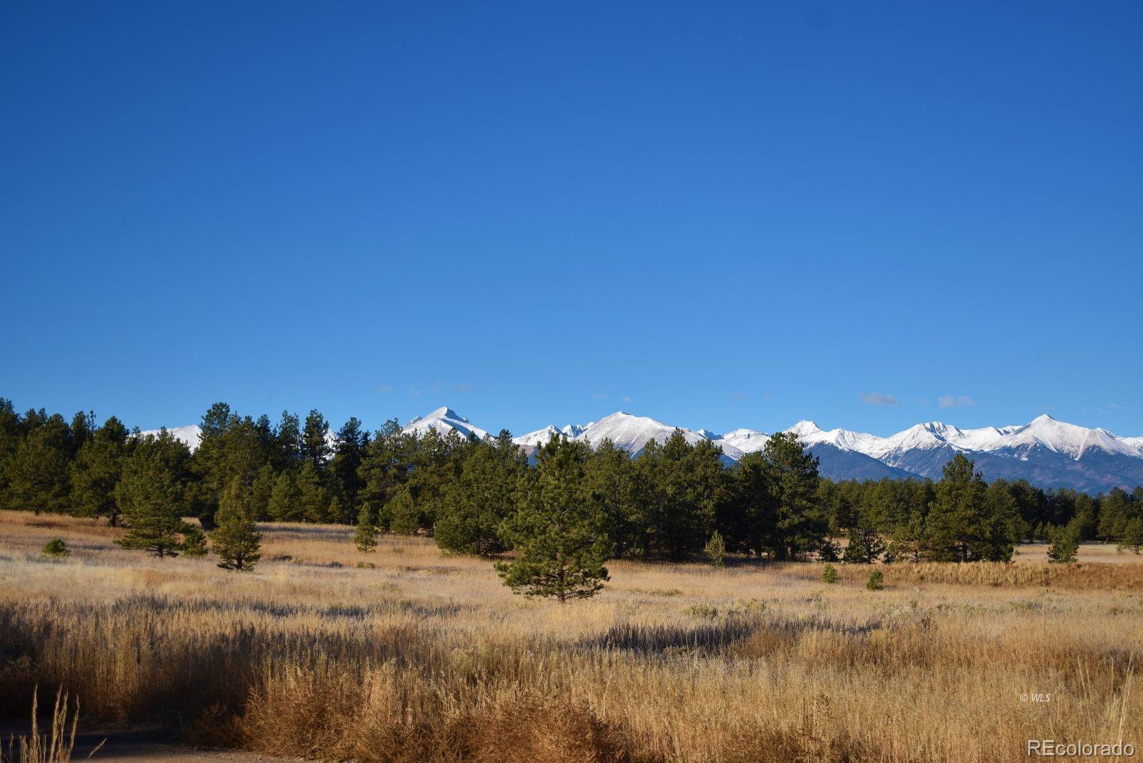 MLS Image #20 for 1001  black fawn lane,westcliffe, Colorado