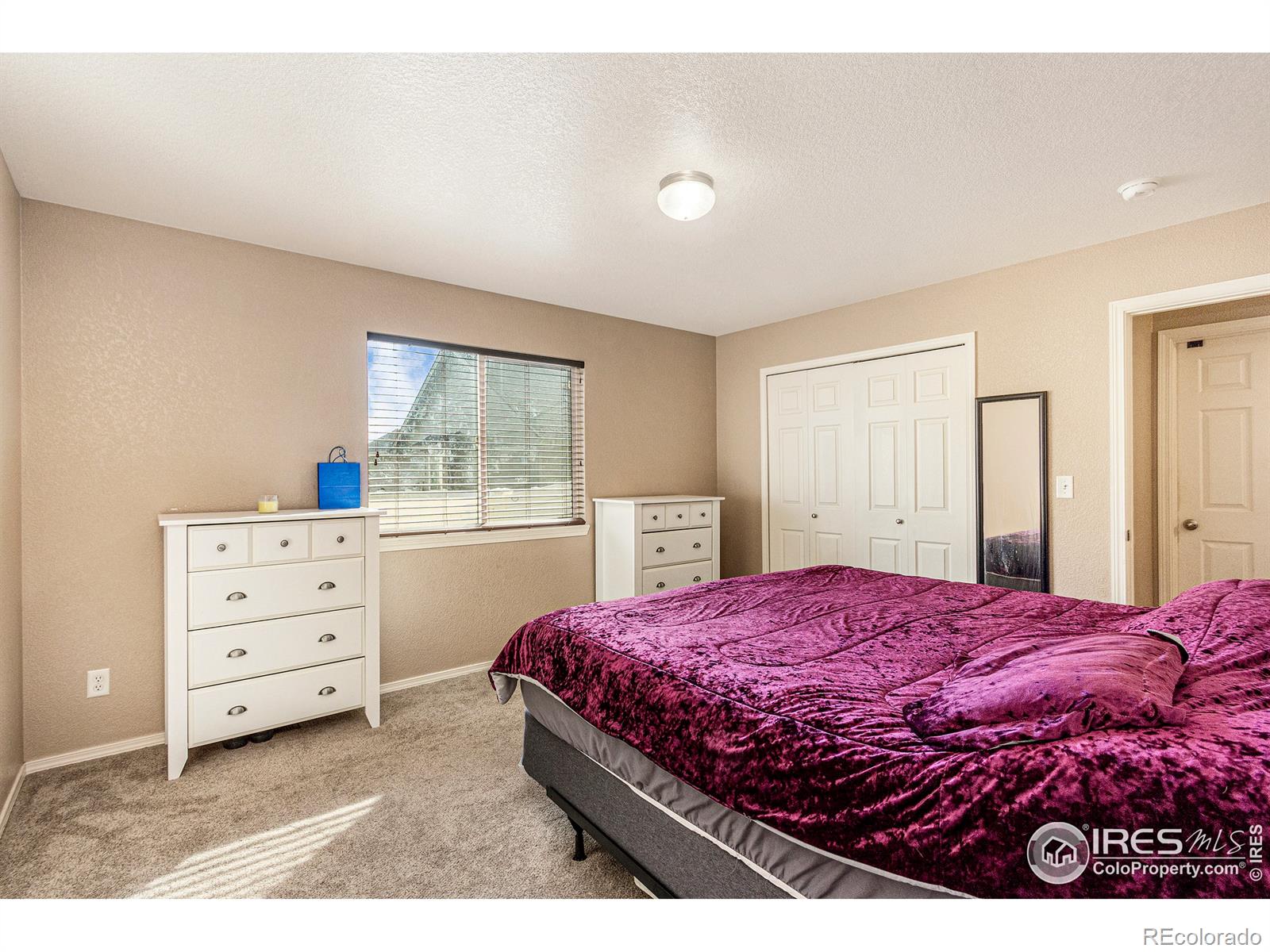 MLS Image #12 for 5806  chardonnay street,greeley, Colorado