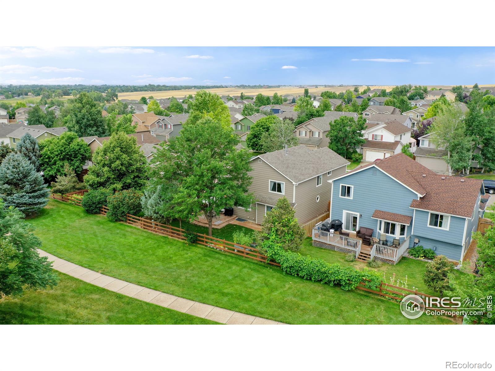 MLS Image #5 for 556  kim drive,fort collins, Colorado