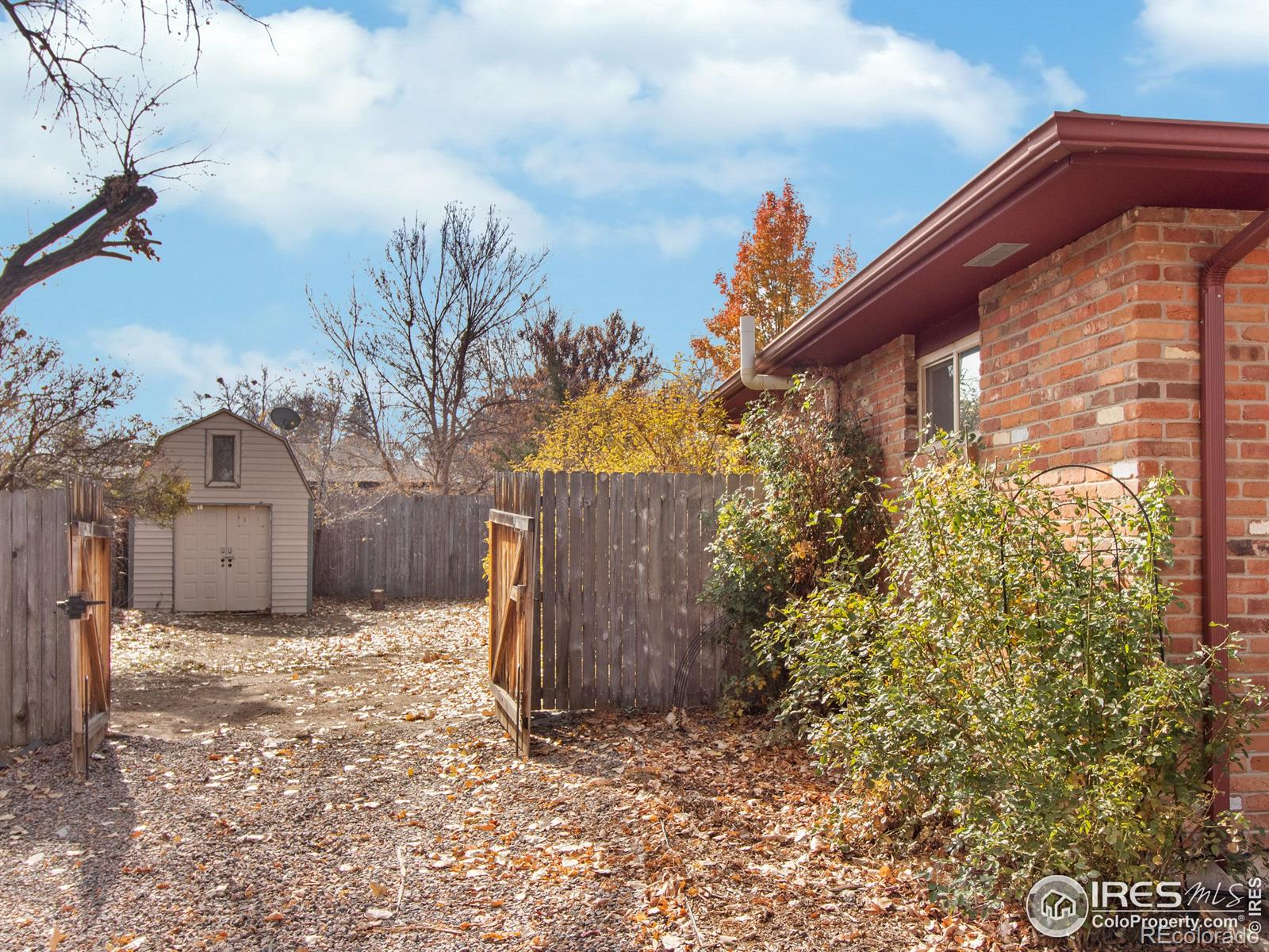 MLS Image #11 for 619  quebec avenue,longmont, Colorado