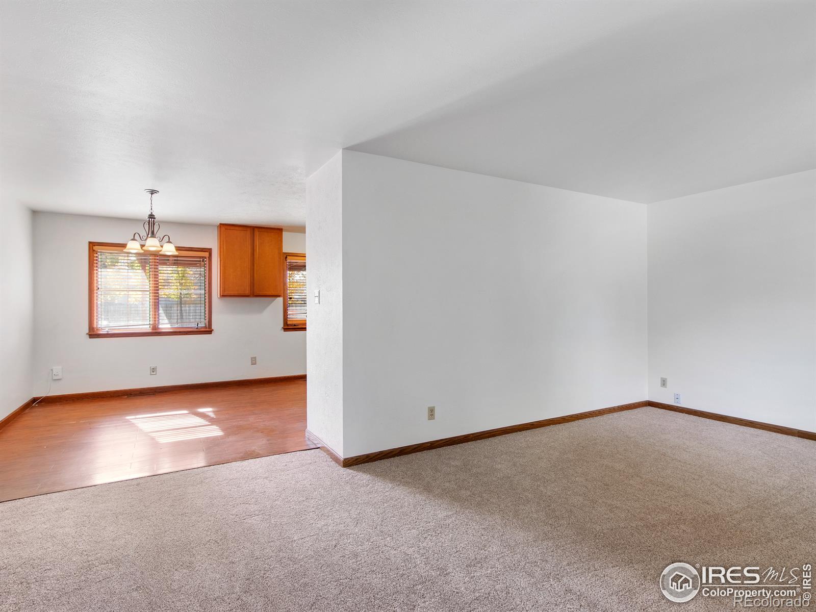 MLS Image #14 for 619  quebec avenue,longmont, Colorado