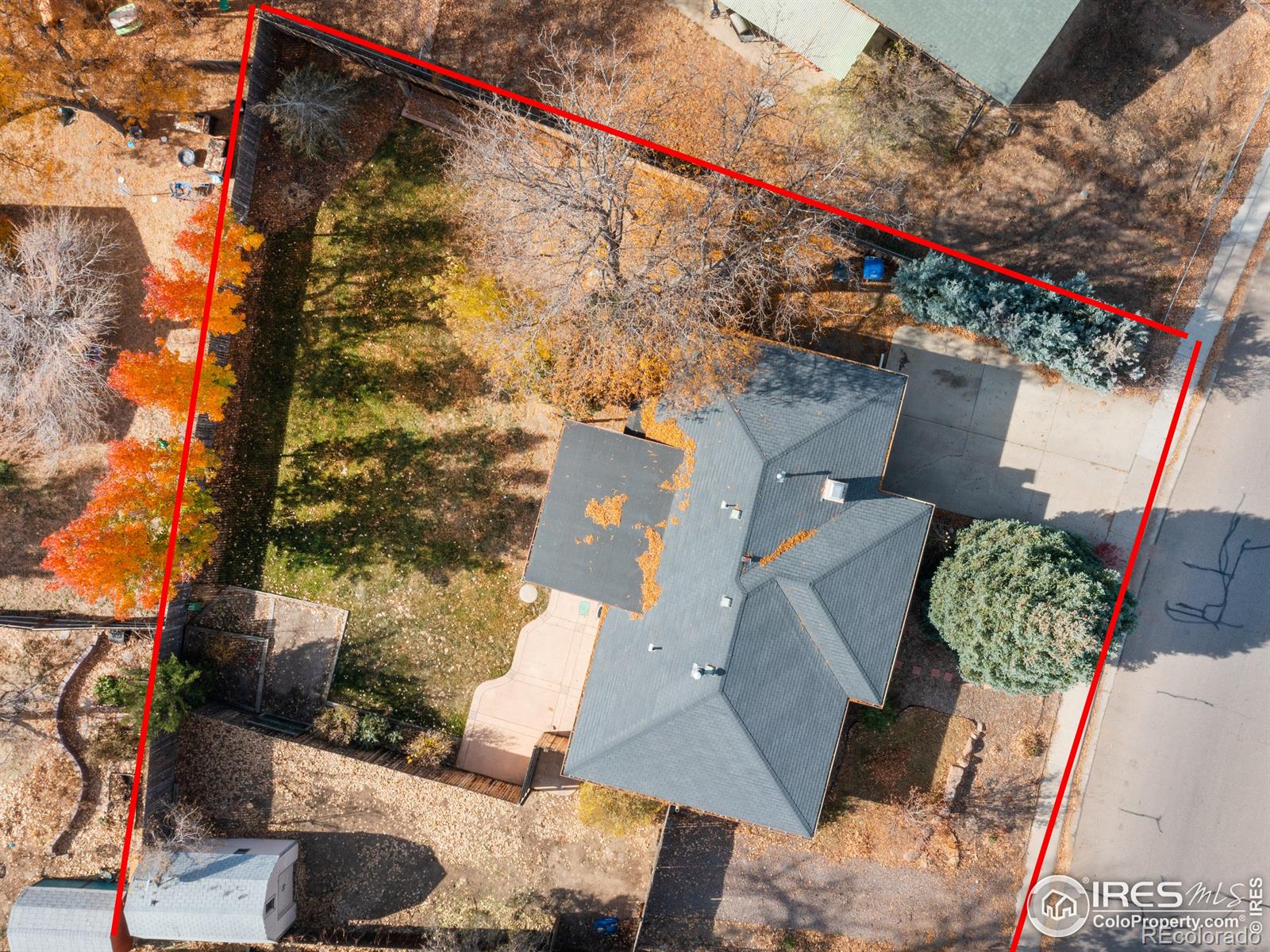 MLS Image #6 for 619  quebec avenue,longmont, Colorado