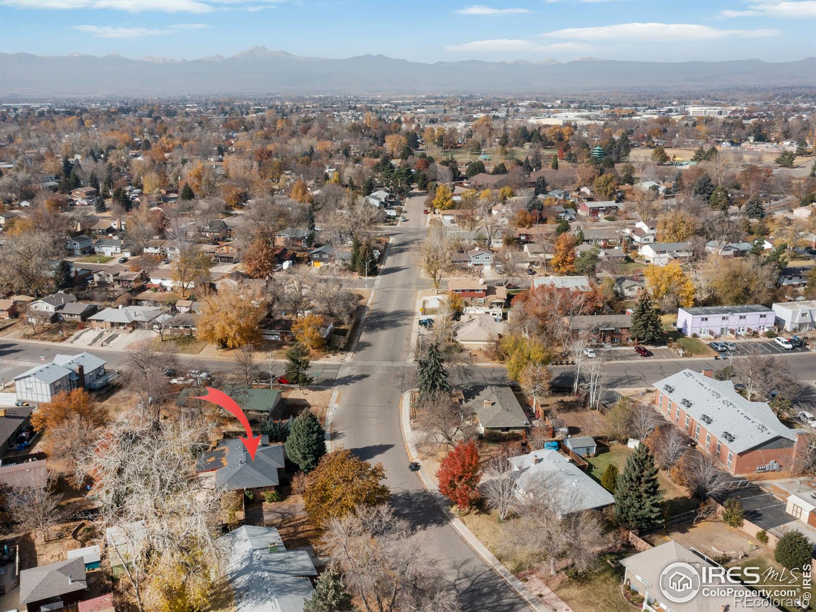 MLS Image #8 for 619  quebec avenue,longmont, Colorado