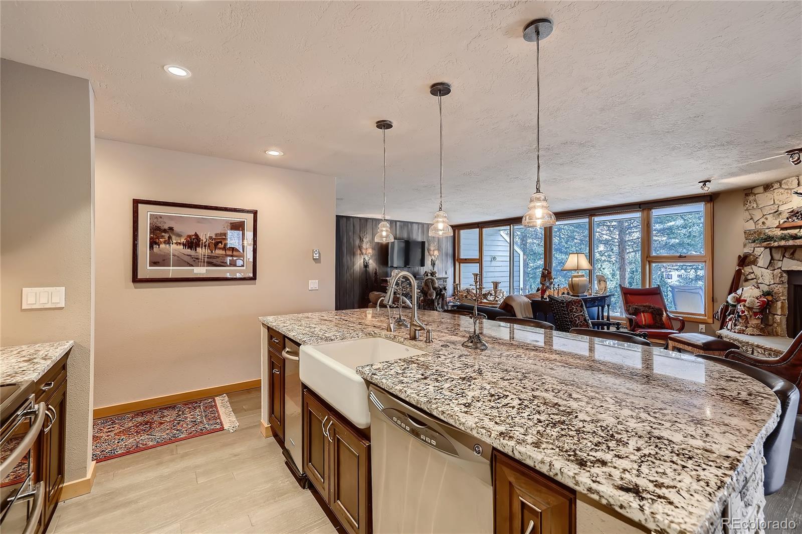 MLS Image #11 for 21660  us highway 6 ,keystone, Colorado