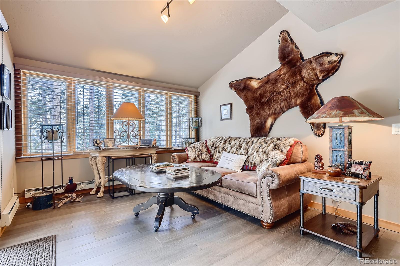 MLS Image #5 for 21660  us highway 6 ,keystone, Colorado