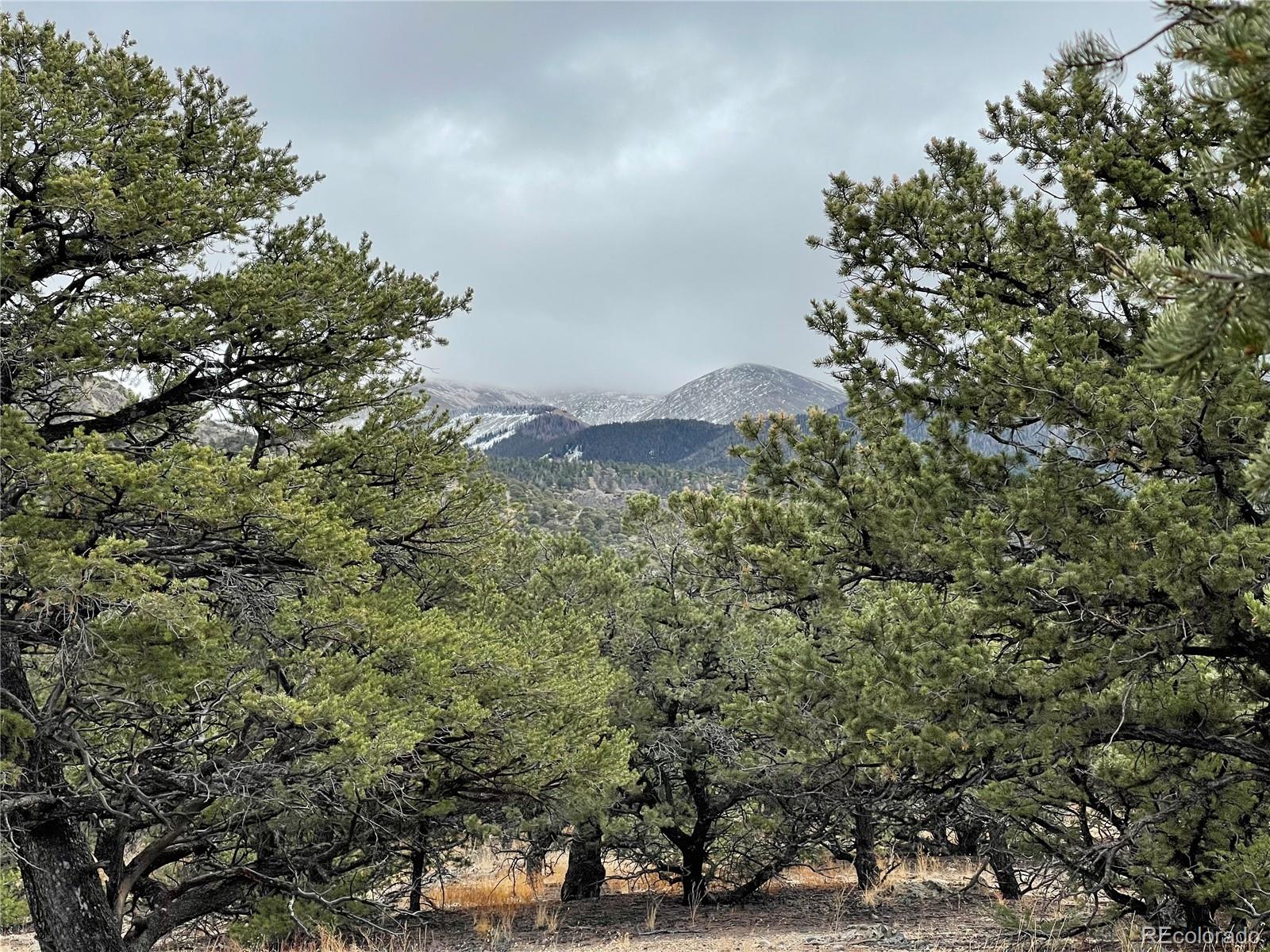 MLS Image #2 for 136  cedar ridge road,mosca, Colorado
