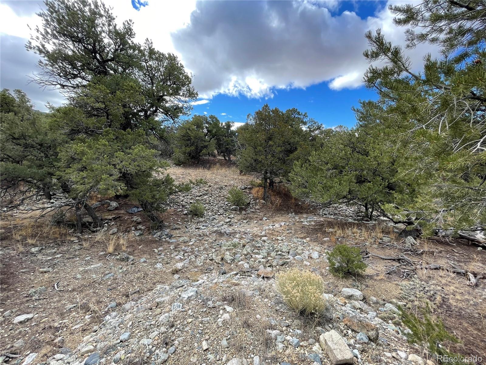 MLS Image #3 for 136  cedar ridge road,mosca, Colorado