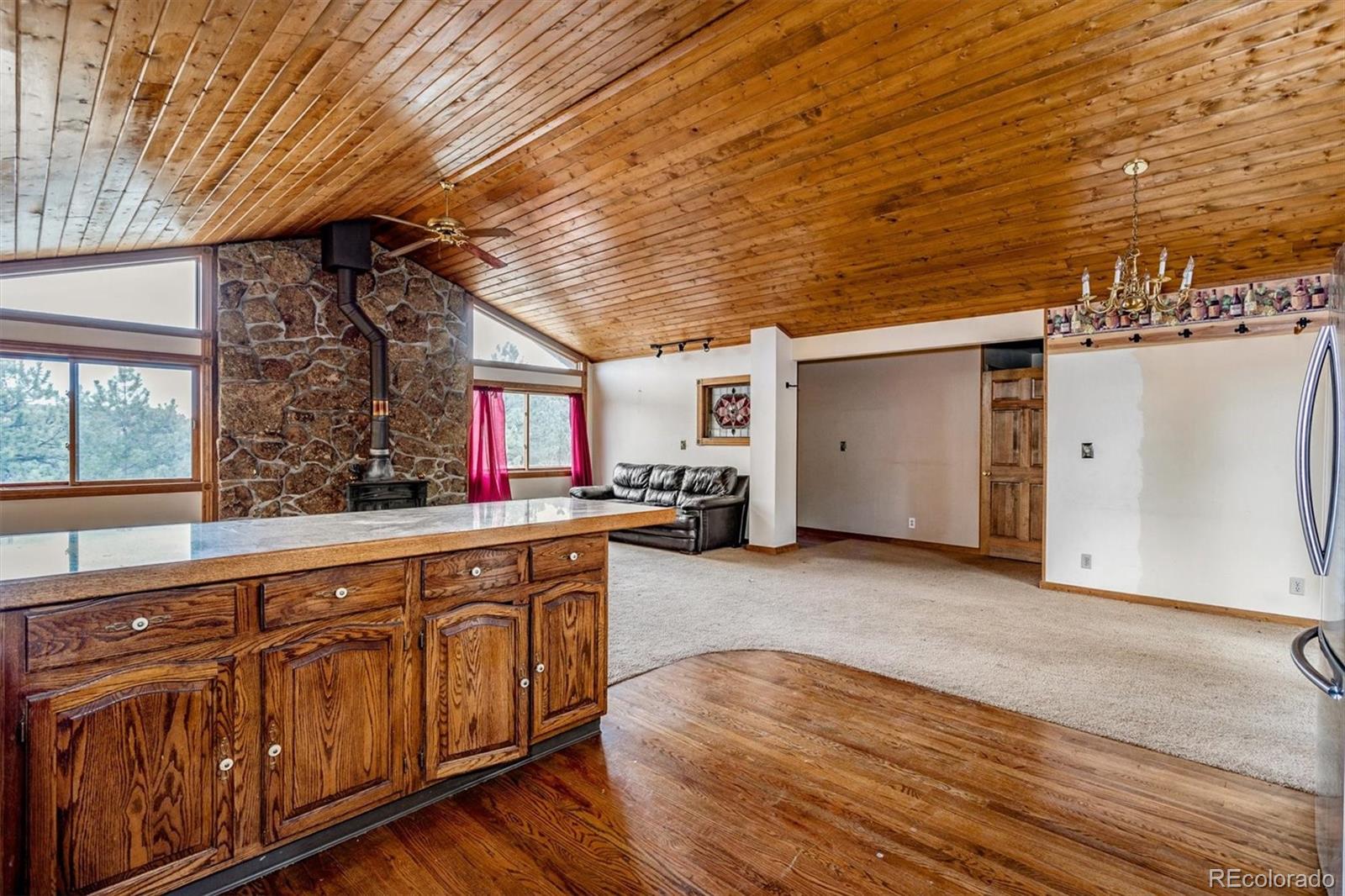 MLS Image #11 for 30433  ruby ranch road,evergreen, Colorado