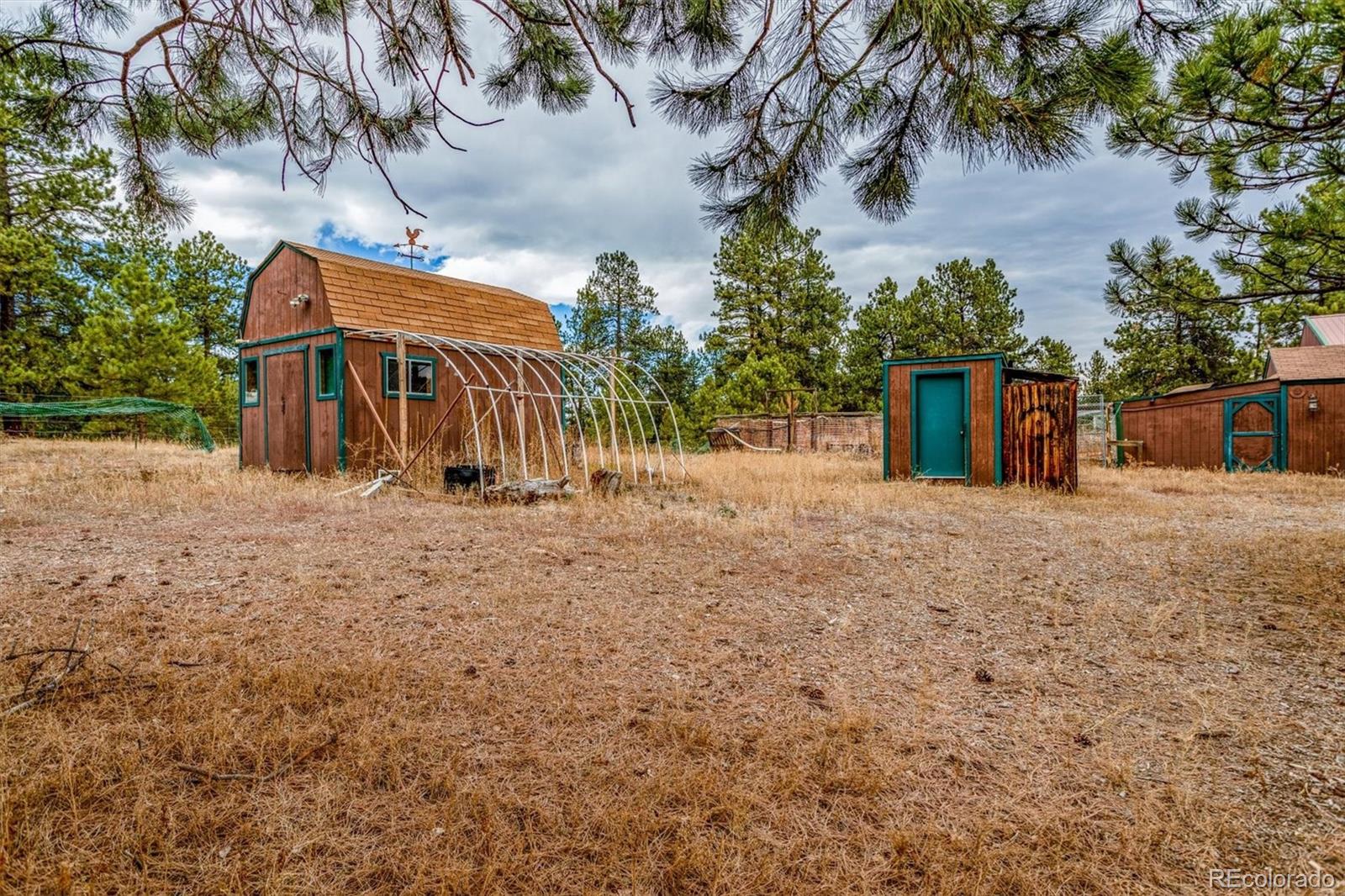 MLS Image #16 for 30433  ruby ranch road,evergreen, Colorado